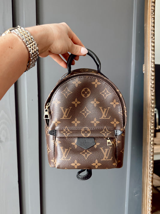 Louis Vuitton Palm Springs Mini Back Pack