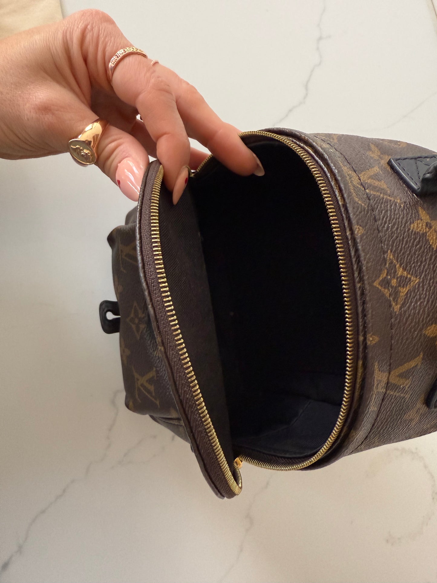 Louis Vuitton Mini Palm Spring Backpack