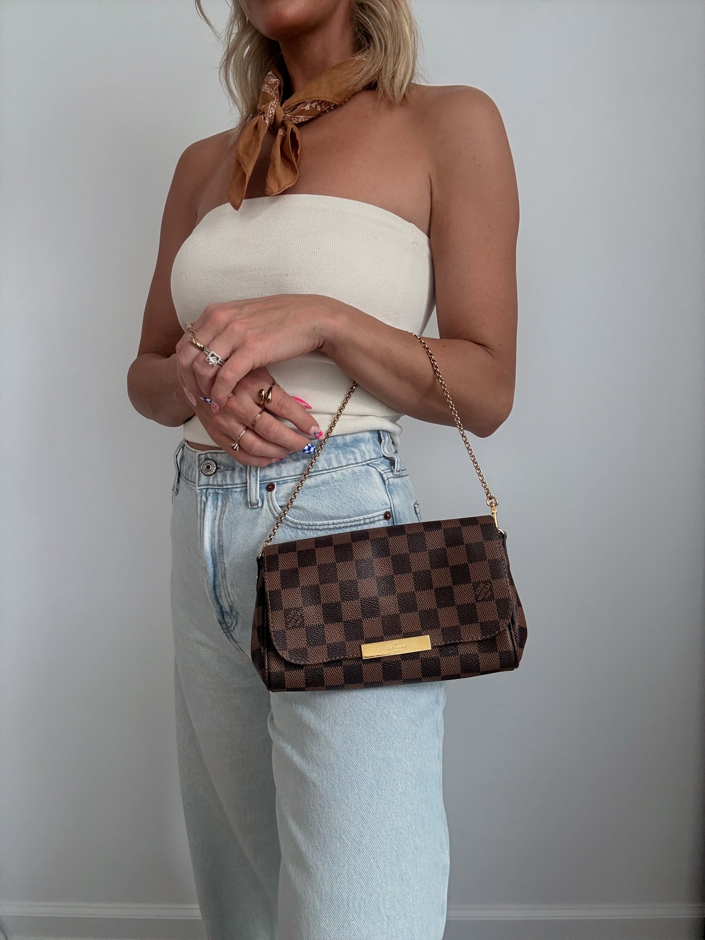 Louis Vuitton Favorite PM Damier Ebene
