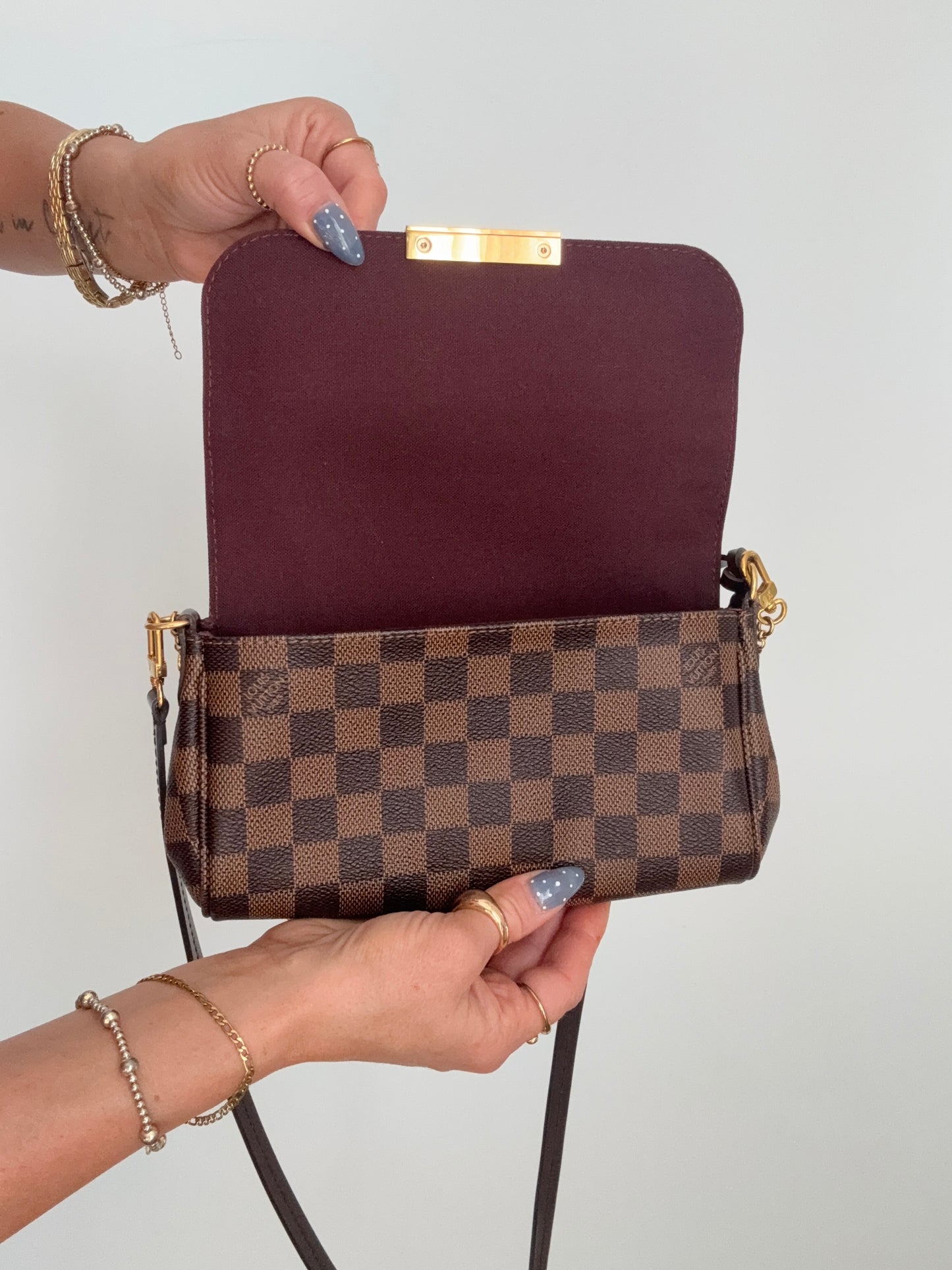 Louis Vuitton Favorite PM Damier Ebene