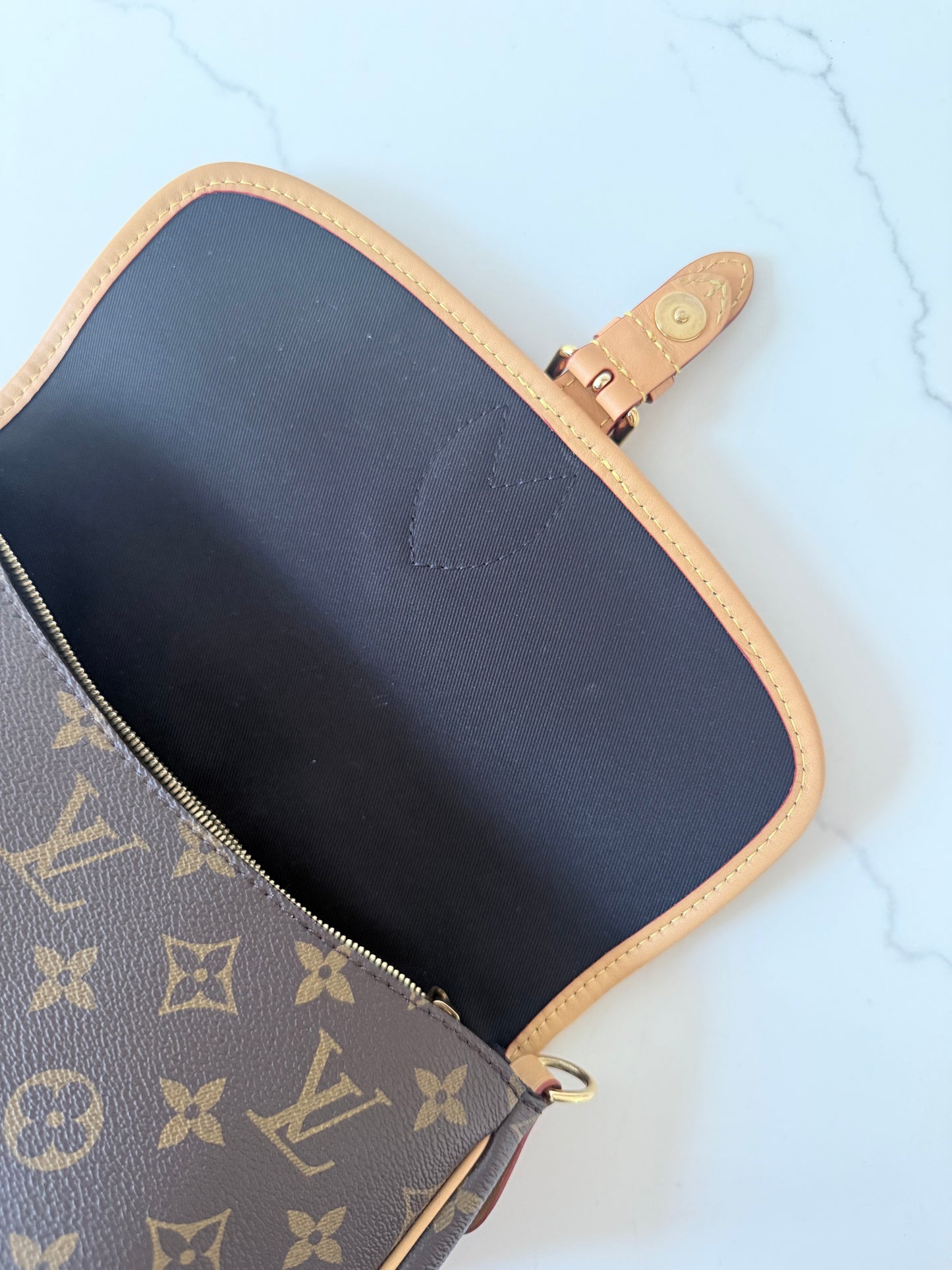 Louis Vuitton Monogram Diane
