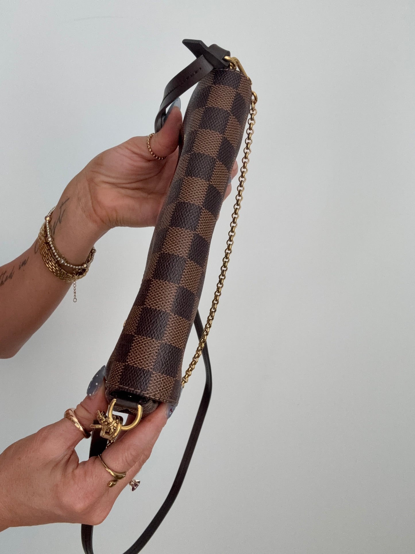 Louis Vuitton Favorite PM Damier Ebene