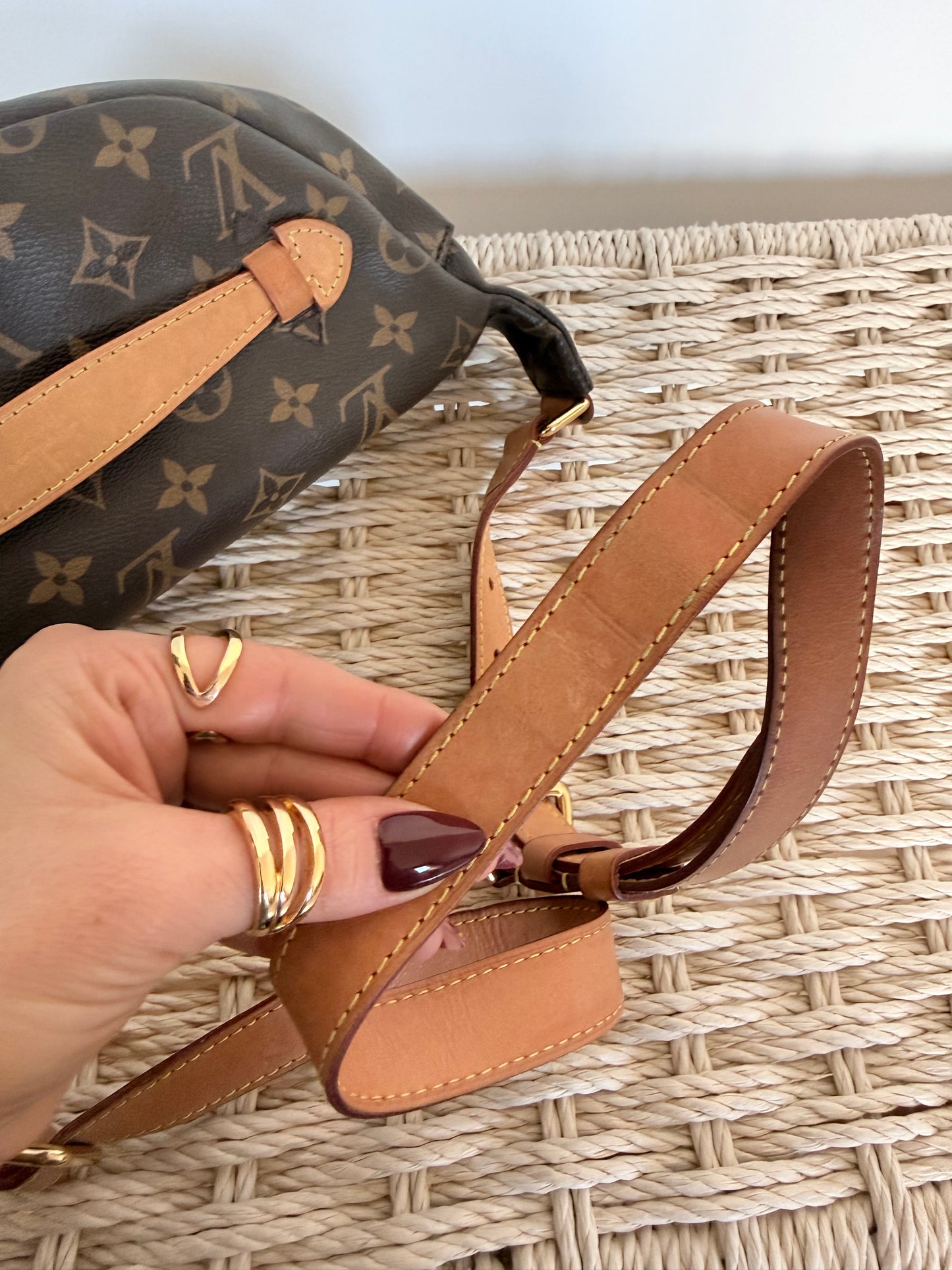 Louis Vuitton Bumbag Monogram
