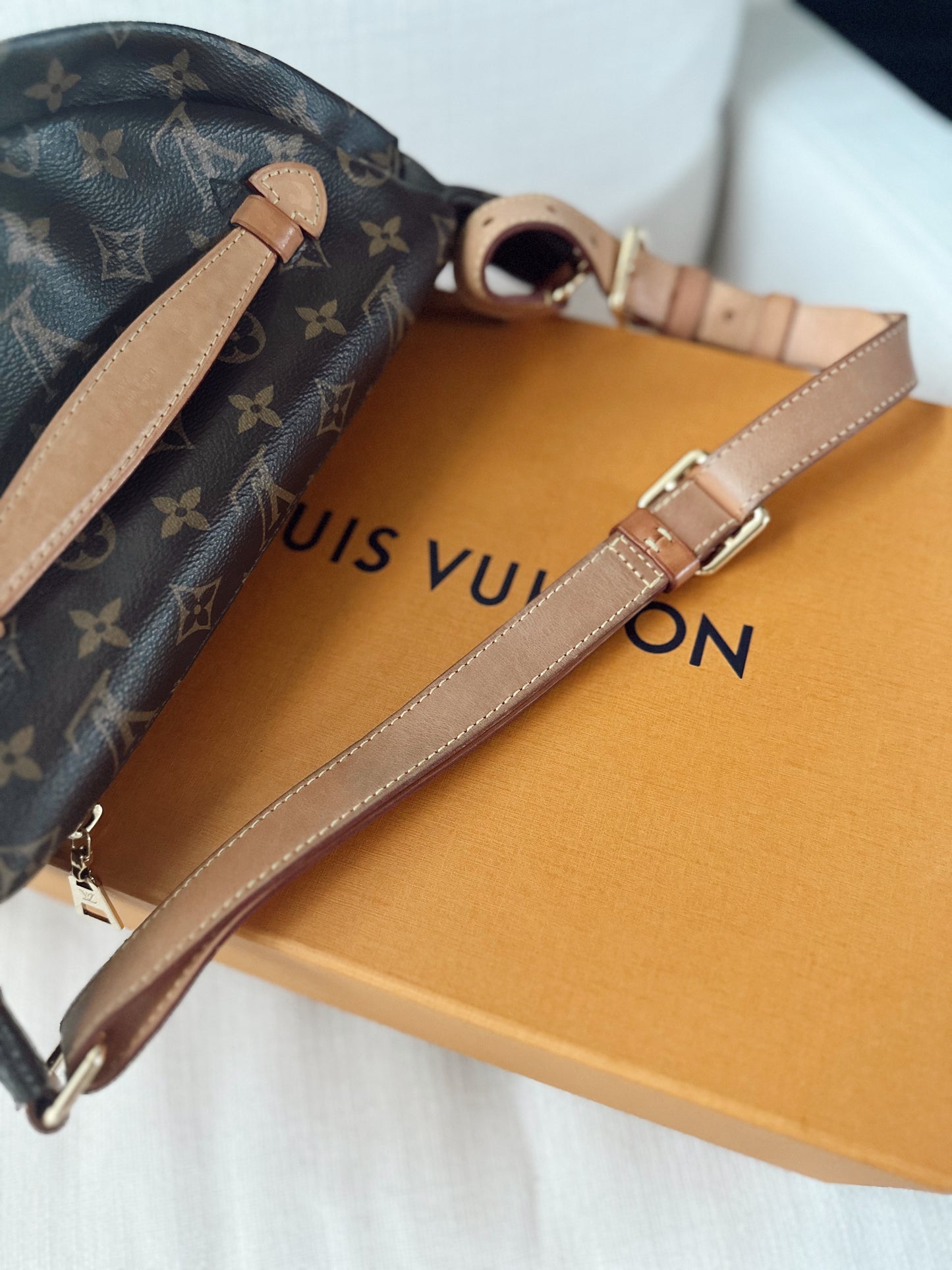 Louis Vuitton Monogram Bumbag