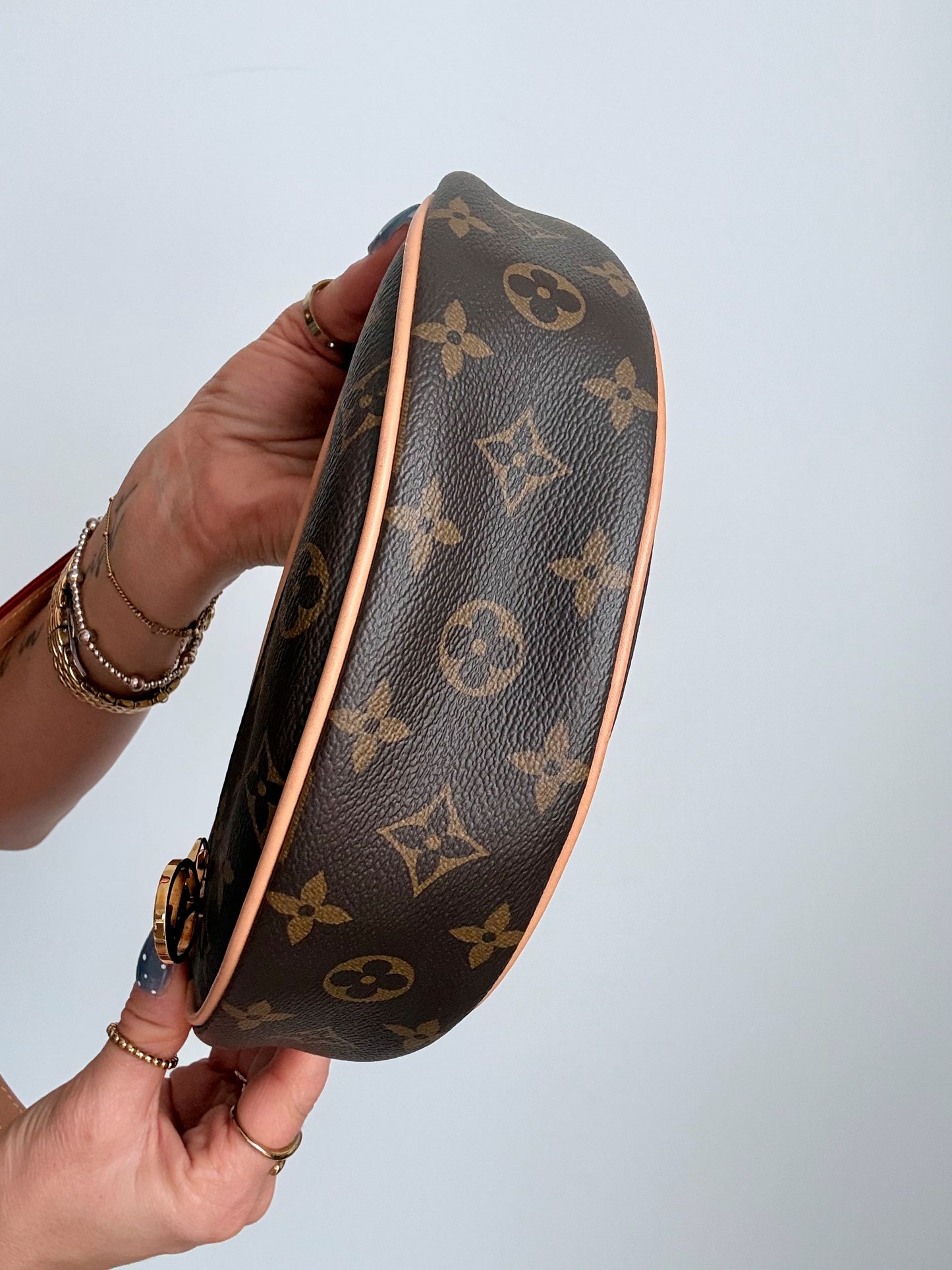 Louis Vuitton Monogram Loop