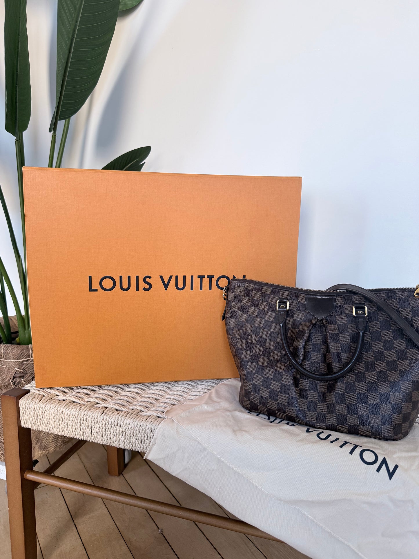 Louis Vuitton Siena Damier Ebene MM