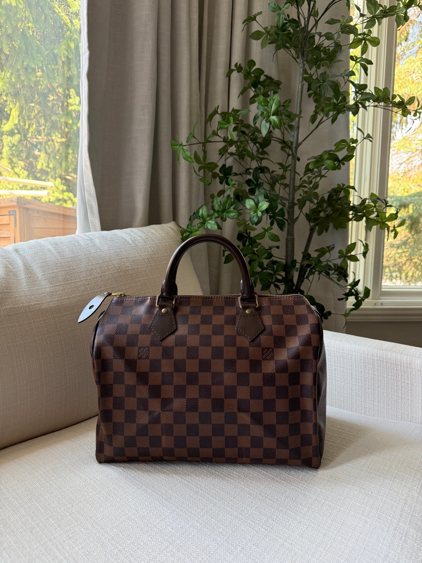 Louis Vuitton Speedy 30 Damier Ebene