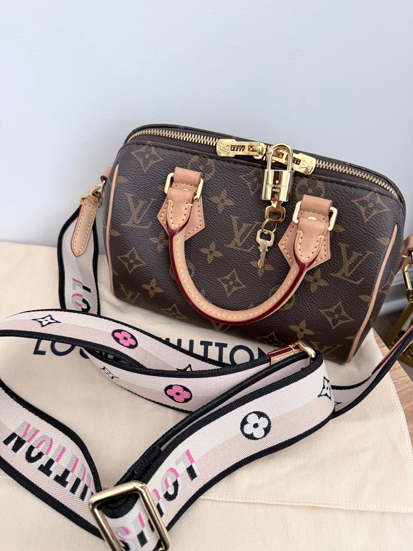 Louis Vuitton Speedy Bandouliere 20 Monogram
