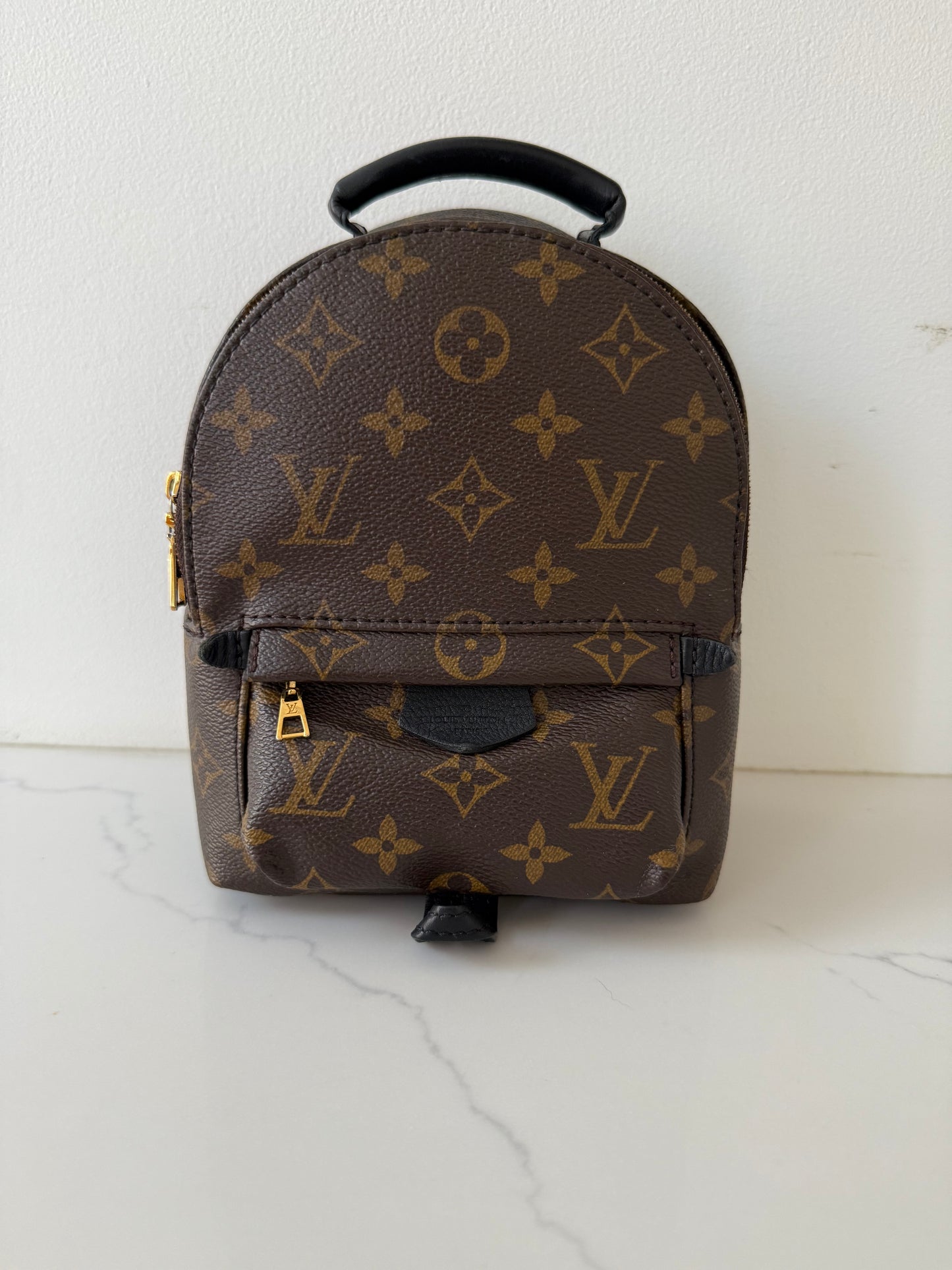 Louis Vuitton Mini Palm Spring Backpack