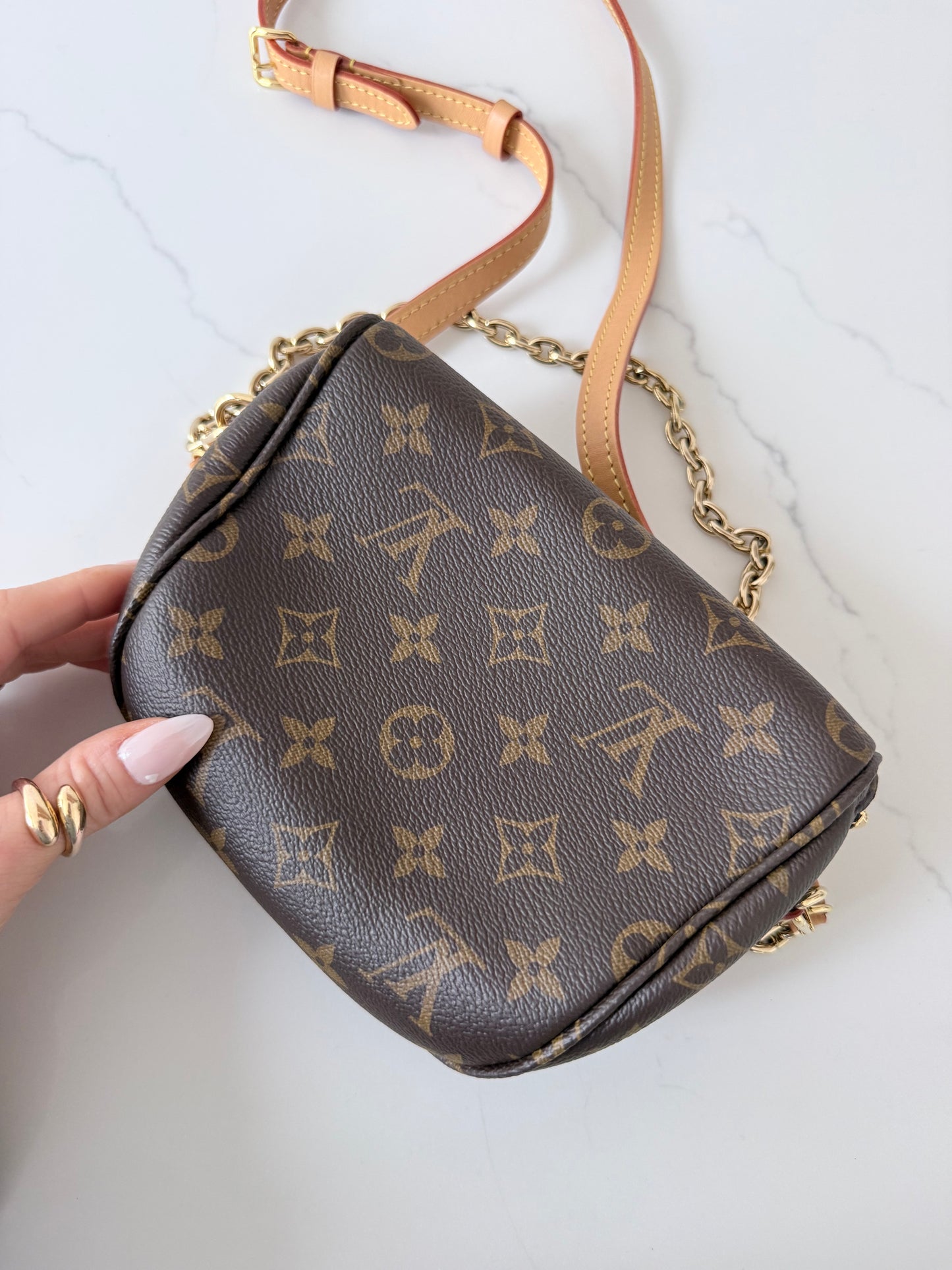 Louis Vuitton Mini Bumbag Monogram