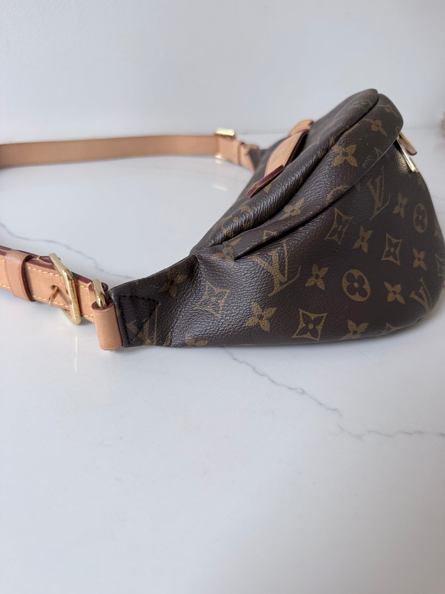 Louis Vuitton Bumbag Monogram