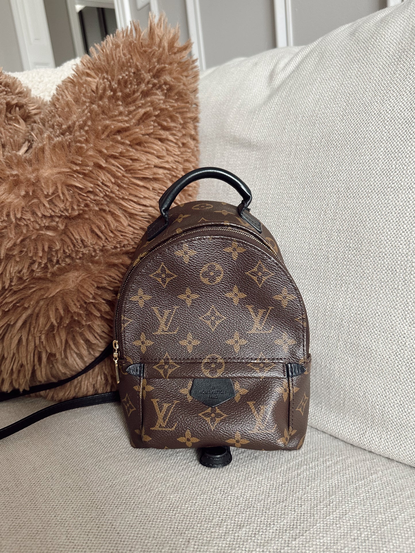 Louis Vuitton Palm Springs Mini Backpack