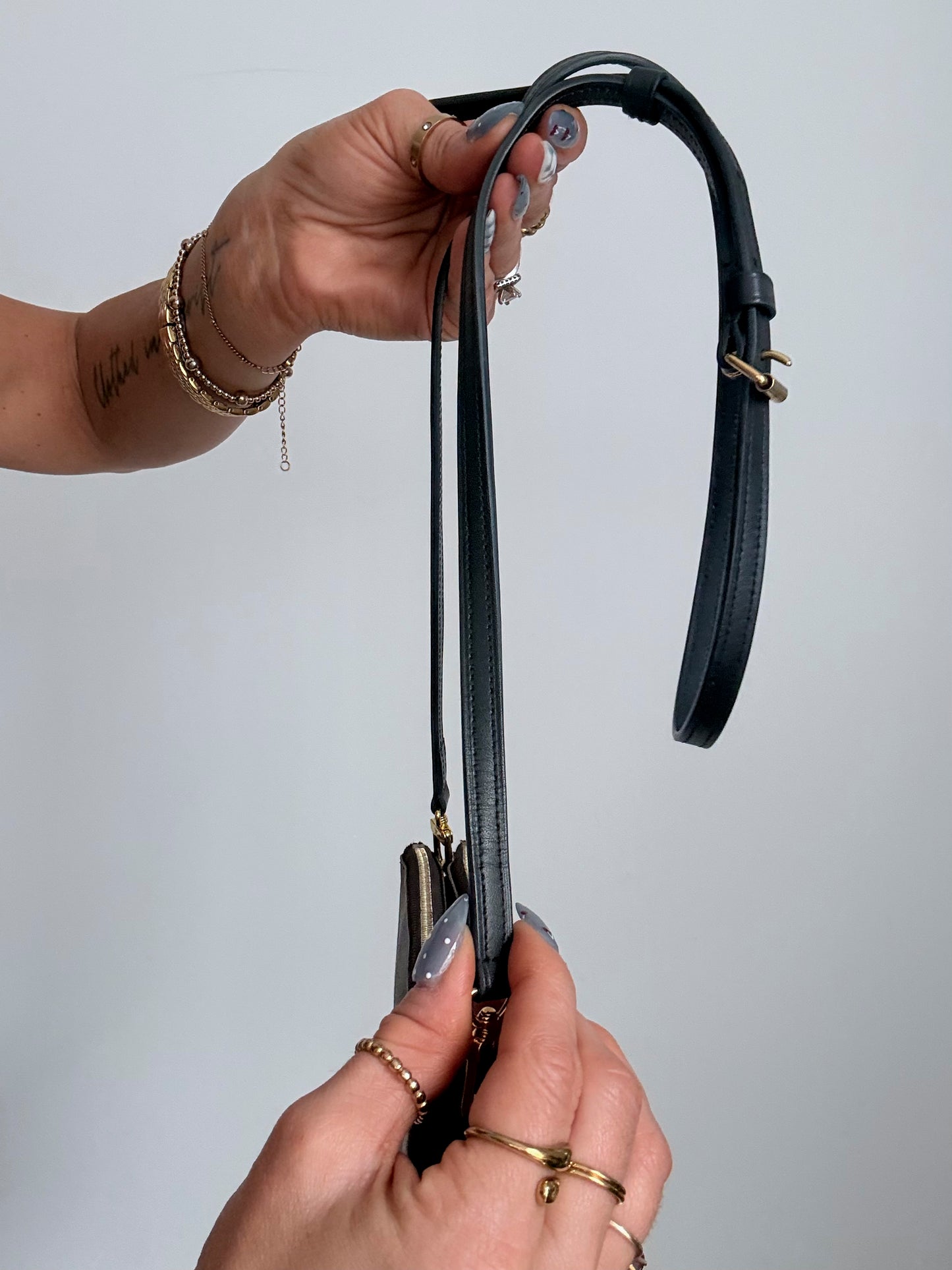 Louis Vuitton Reverse Monogram Giant Double Zip Pochette
