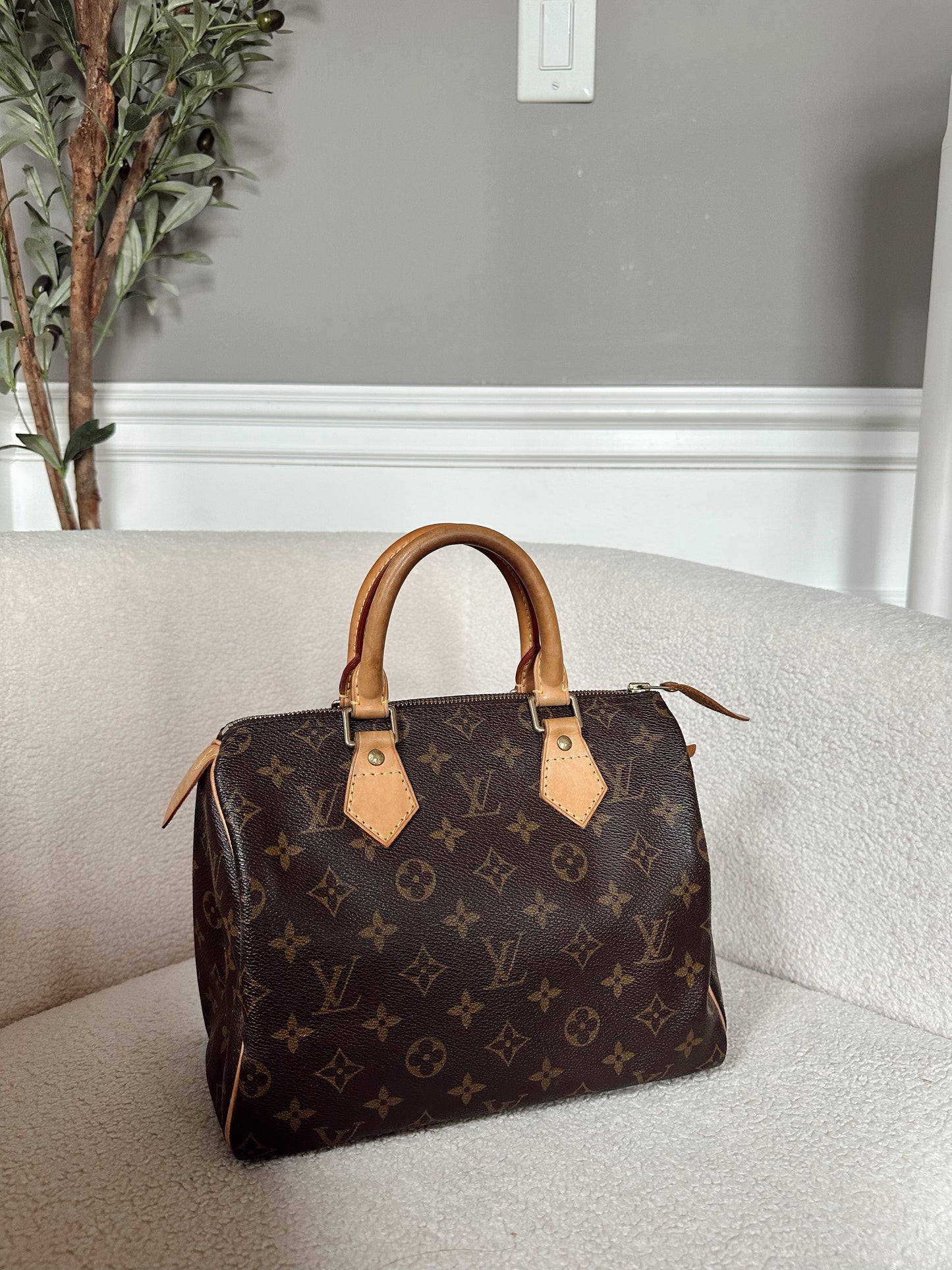 Louis Vuitton Speedy 25 Monogram