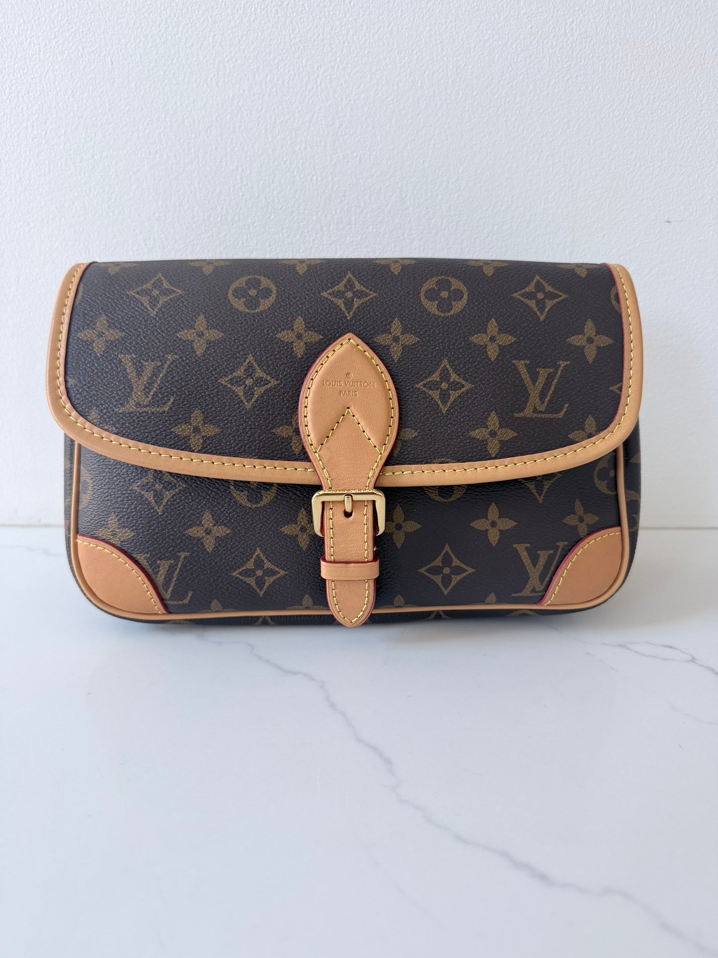 Louis Vuitton Monogram Diane