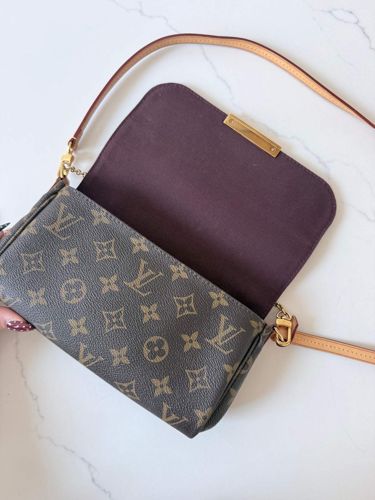 Louis Vuitton Favorite PM Monogram