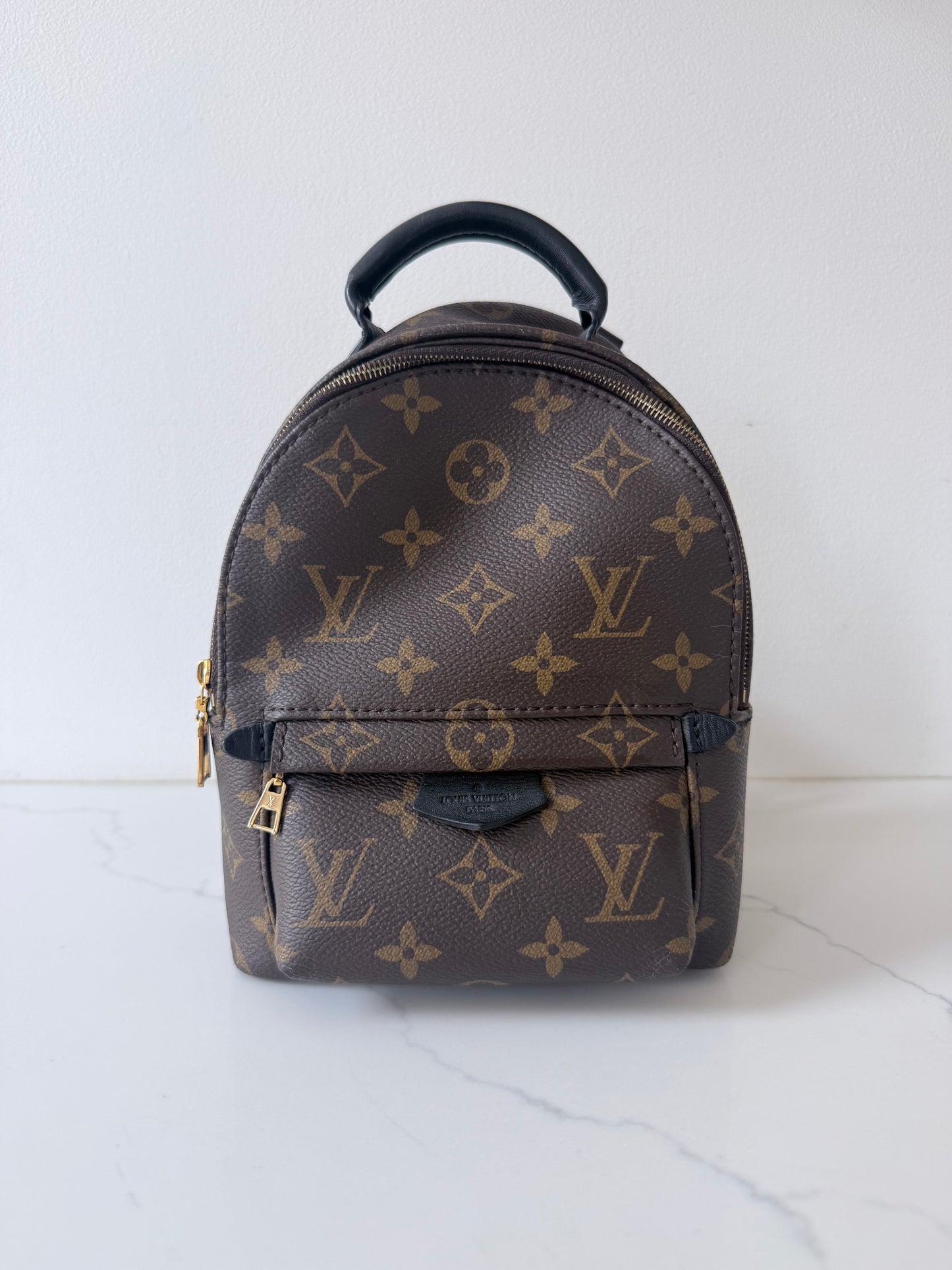 Louis Vuitton Mini Palm Spring Monogram Backpack