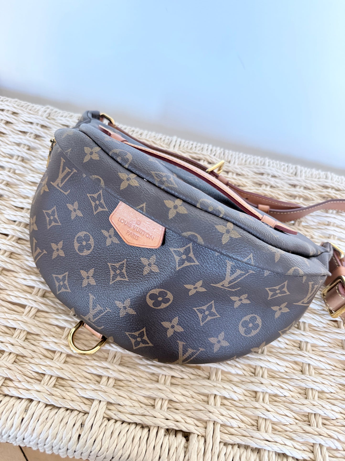 Louis Vuitton Bumbag Monogram