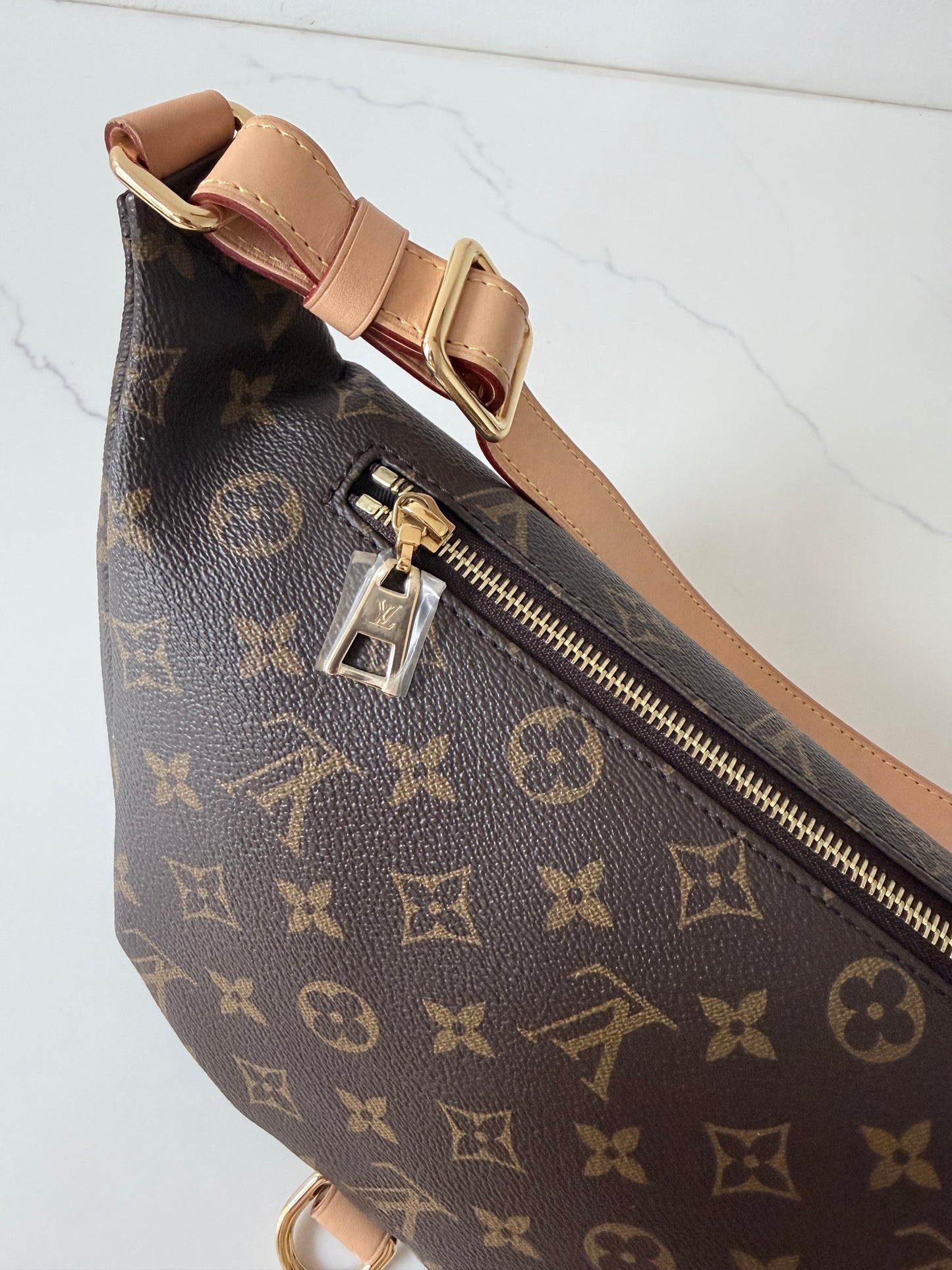 Louis Vuitton Bumbag Monogram