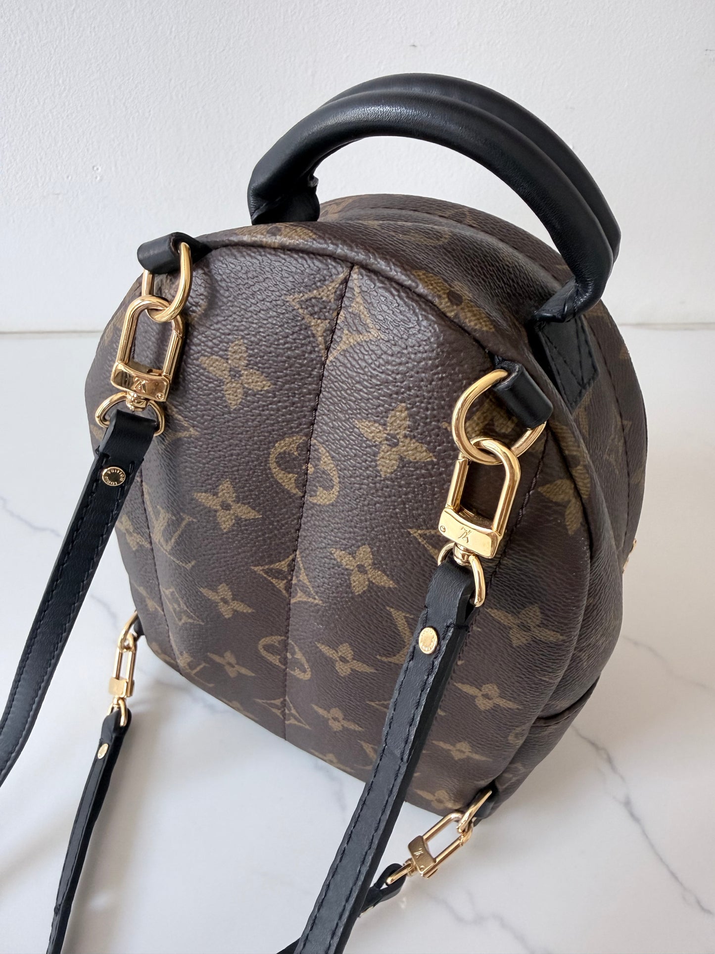 Louis Vuitton Mini Palm Spring Monogram Backpack