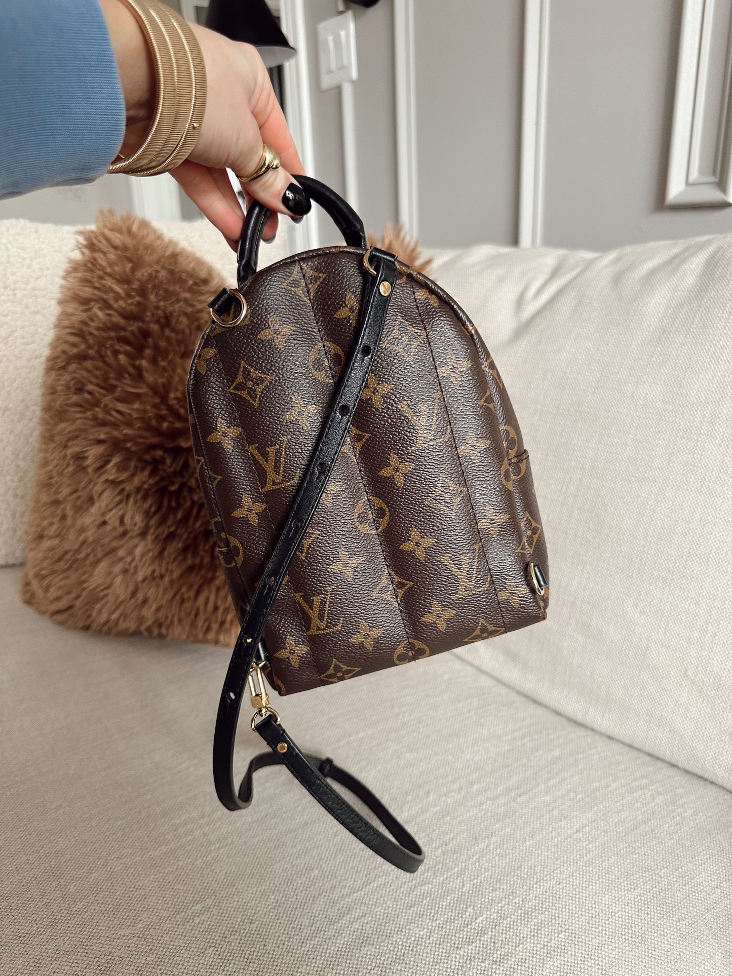 Louis Vuitton Palm Springs Mini Backpack