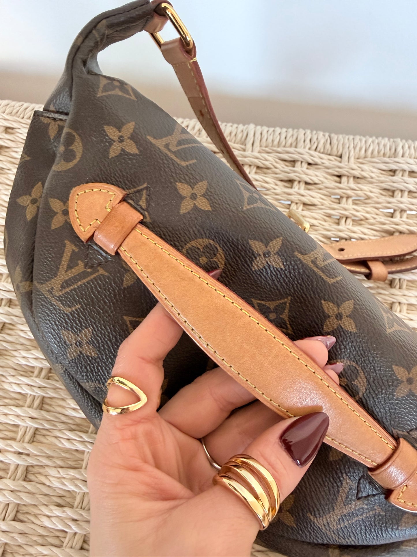 Louis Vuitton Bumbag Monogram