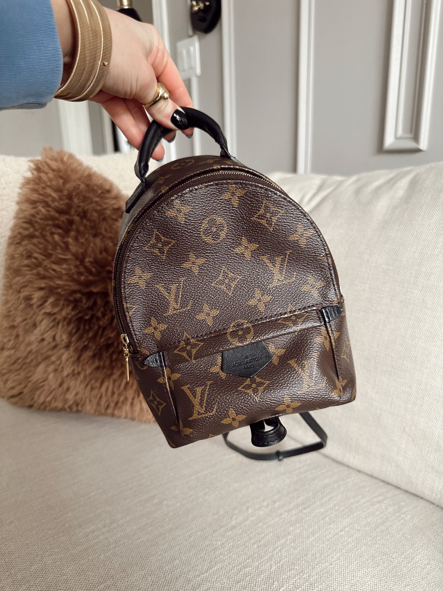 Louis Vuitton Palm Springs Mini Backpack