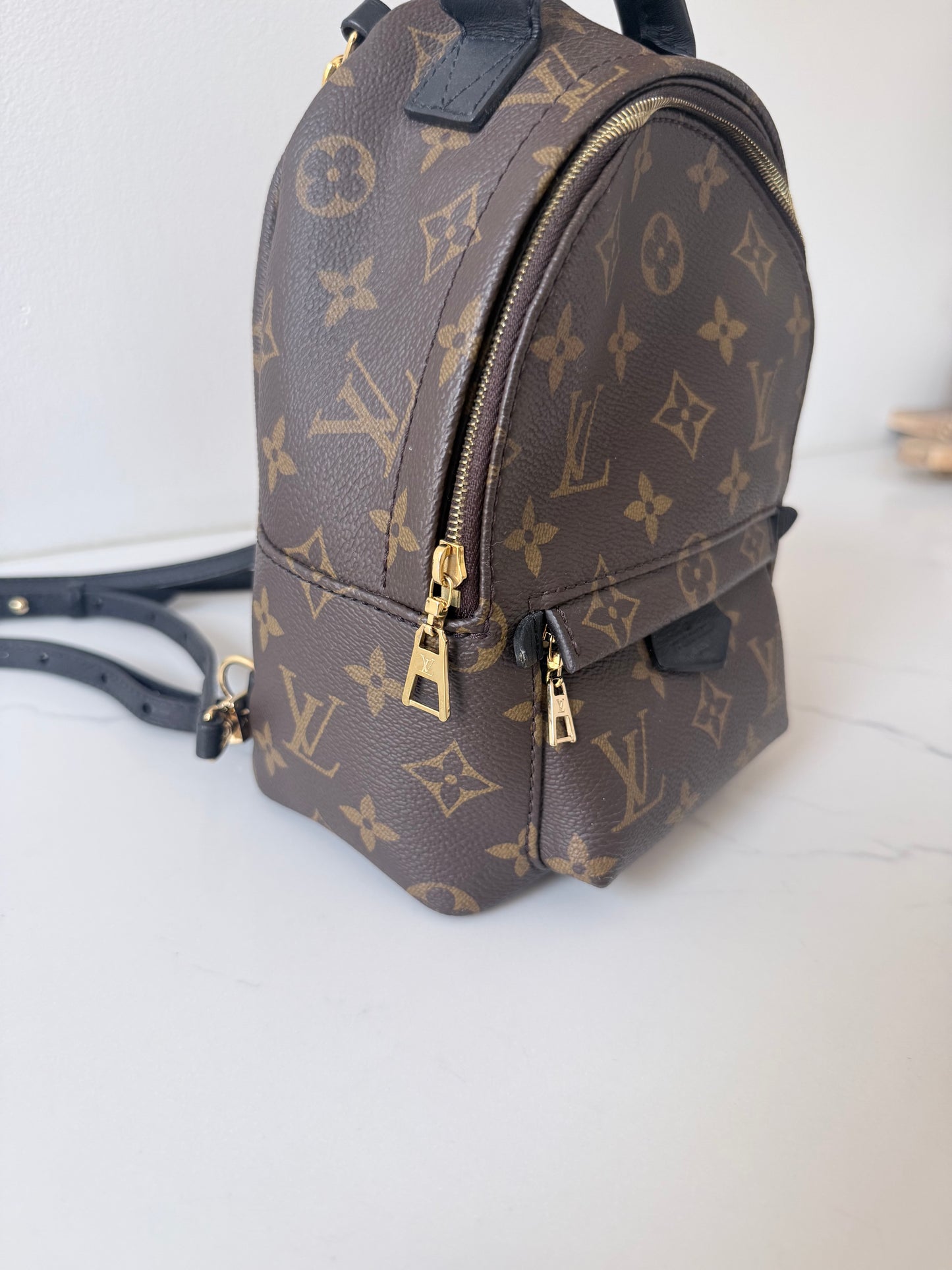 Louis Vuitton Mini Palm Spring Monogram Backpack