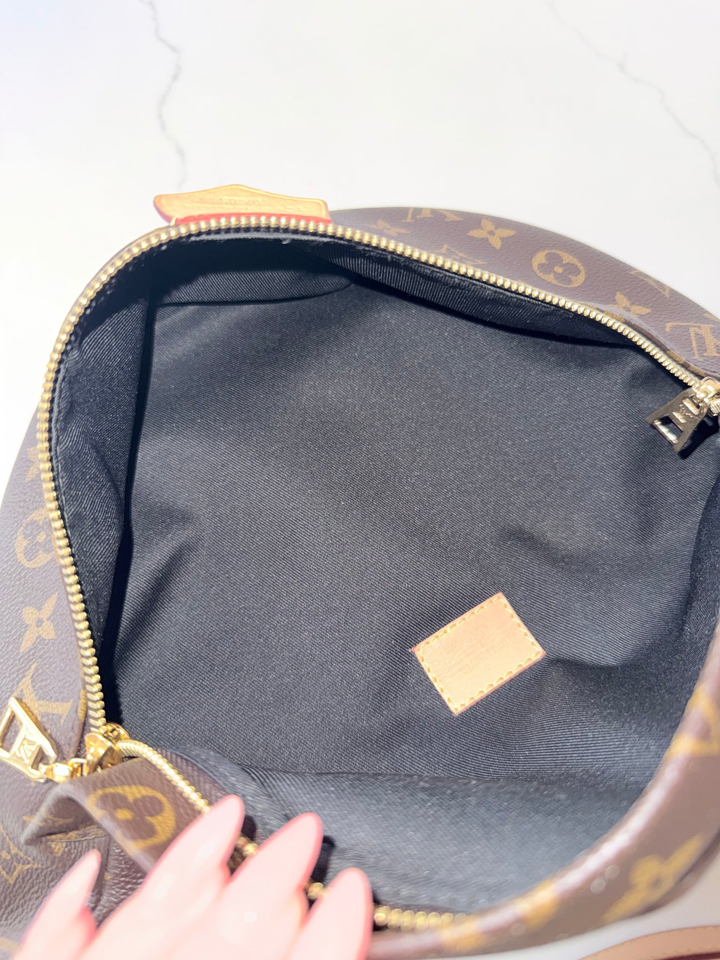Louis Vuitton Bumbag Monogram