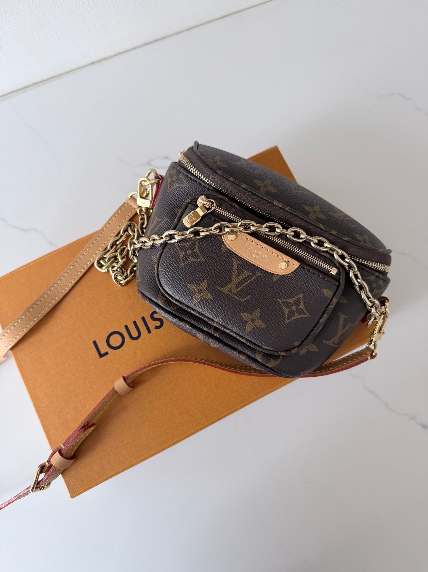 Louis Vuitton Mini Bumbag Monogram