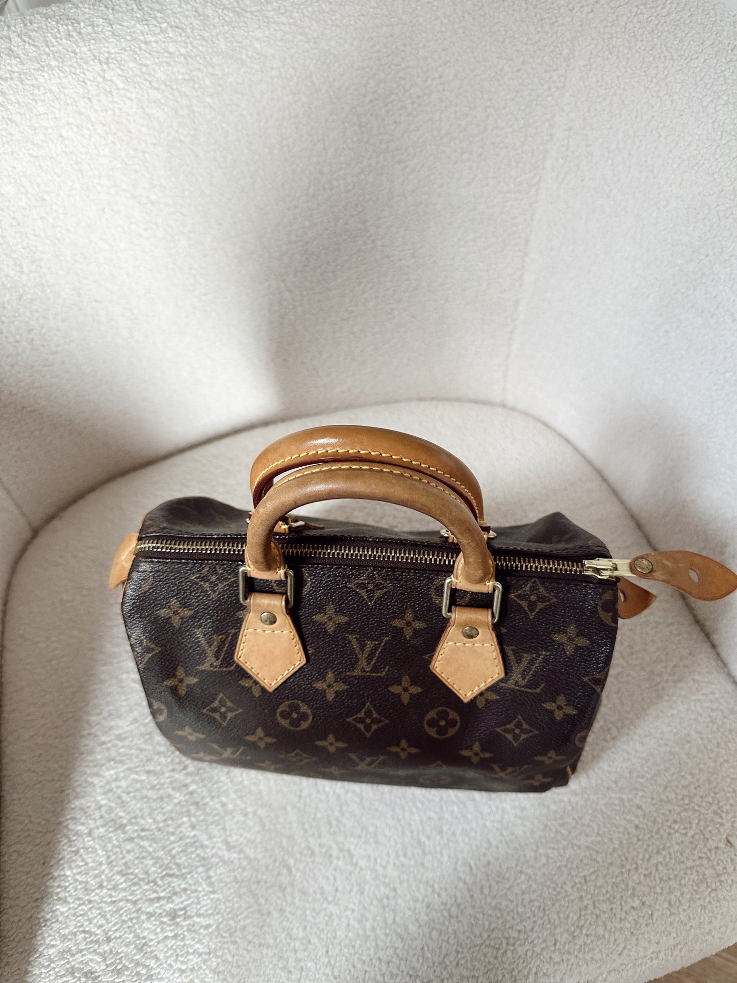 Louis Vuitton Speedy 25 Monogram