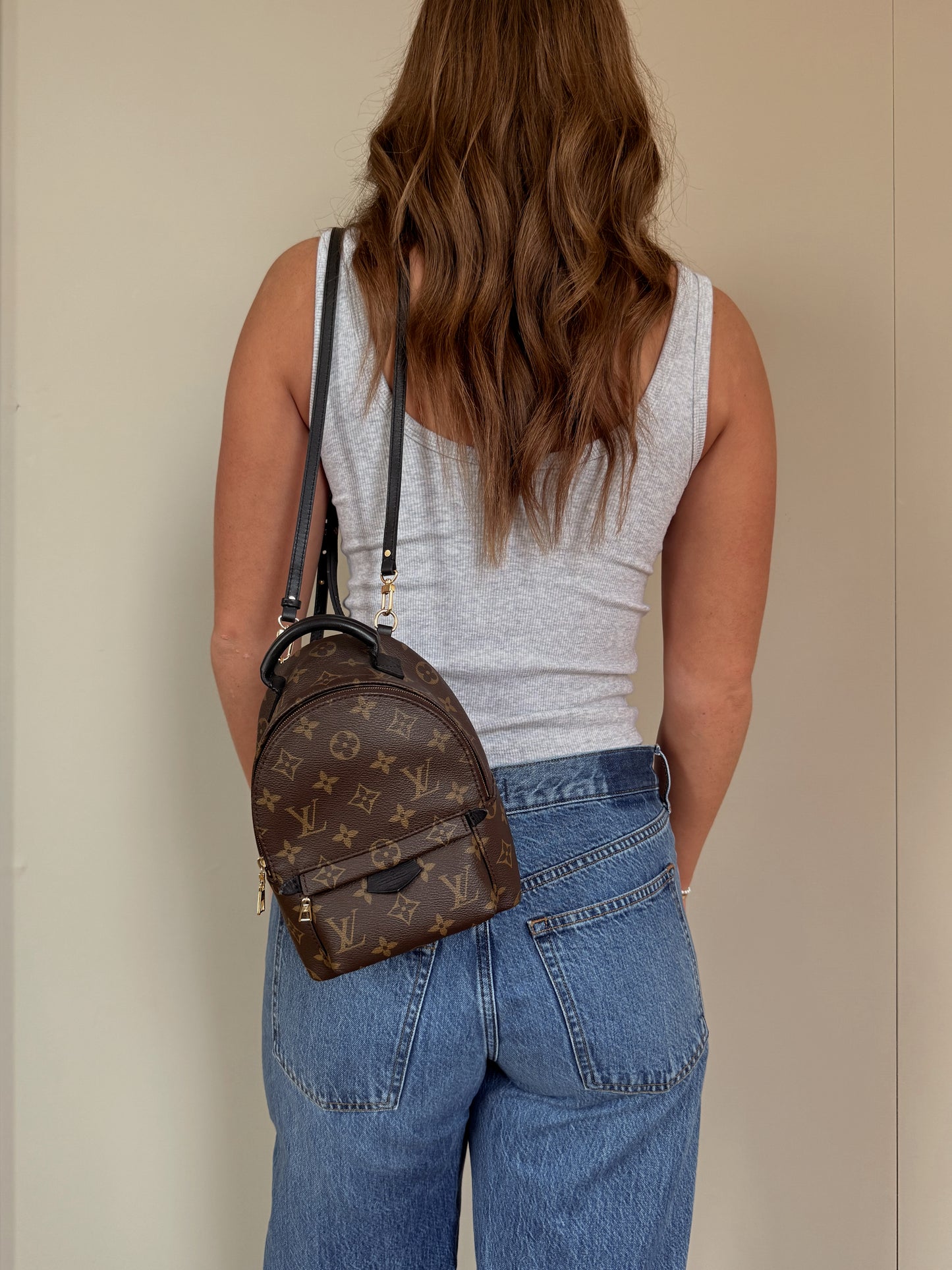 Louis Vuitton Mini Palm Spring Monogram Backpack