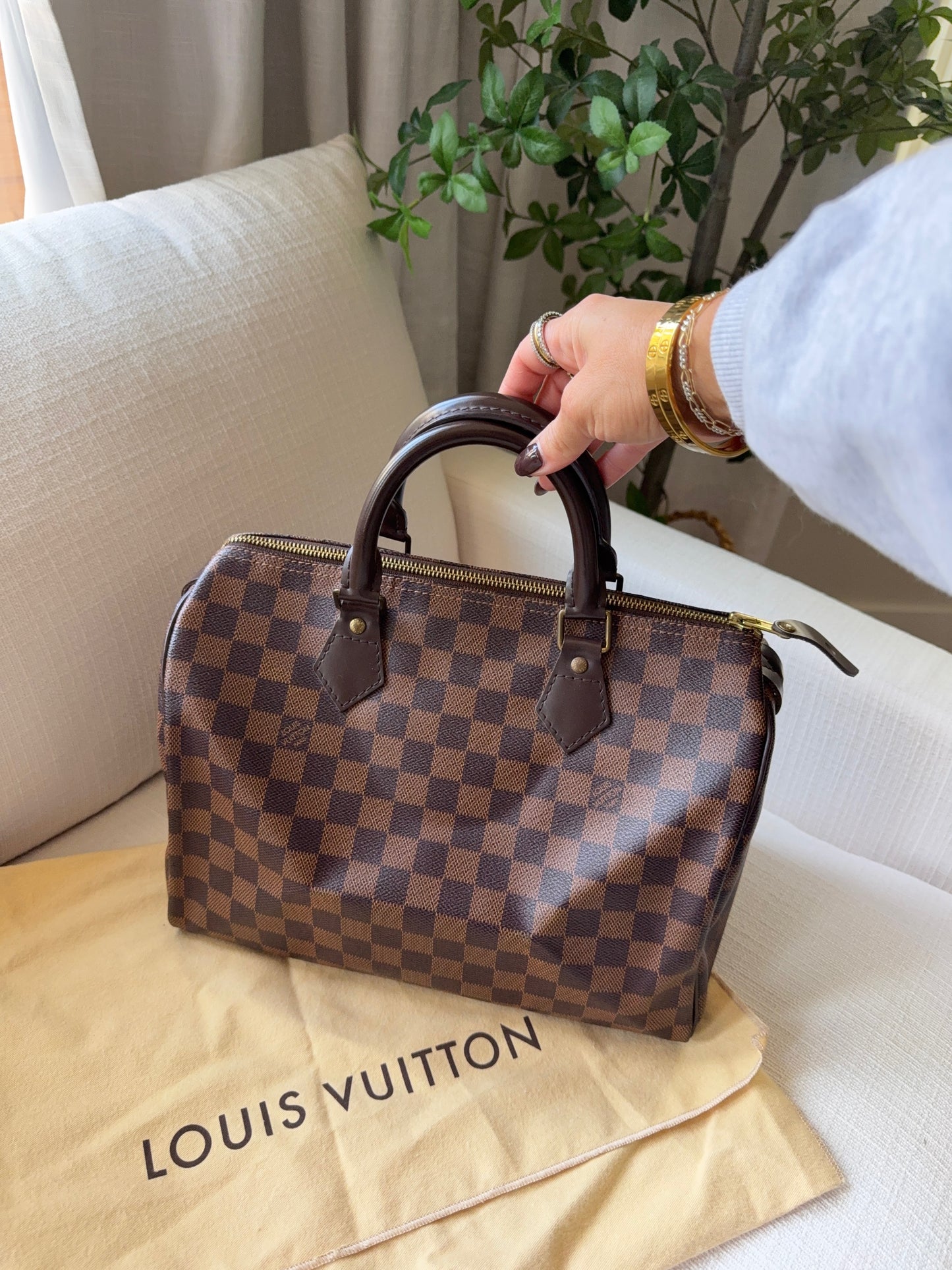 Louis Vuitton Speedy 30 Damier Ebene