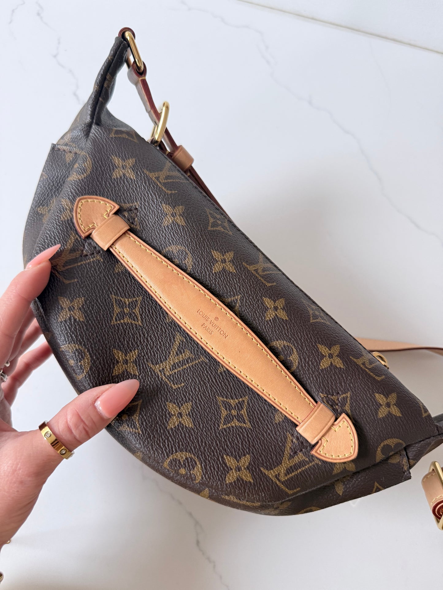 Louis Vuitton Bumbag Monogram