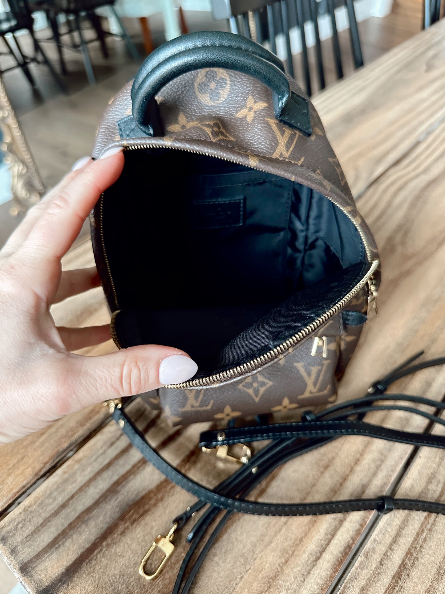 Louis Vuitton Palm Springs Mini Back Pack