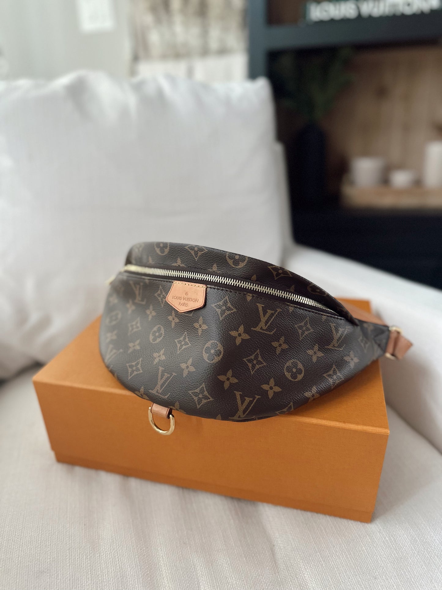 Louis Vuitton Monogram Bumbag