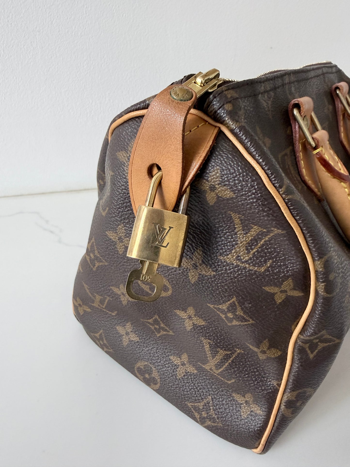 Louis Vuitton Speedy 25 Monogram