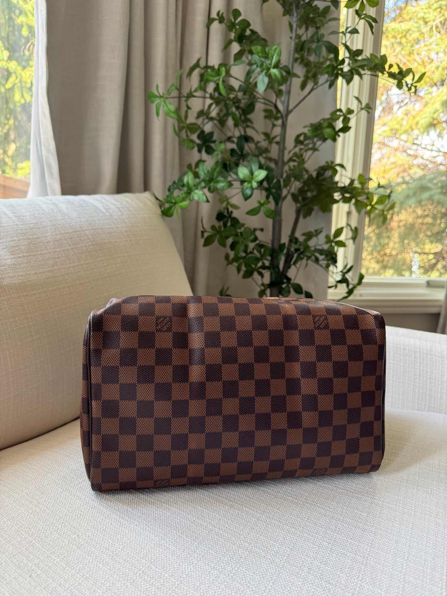 Louis Vuitton Speedy 30 Damier Ebene