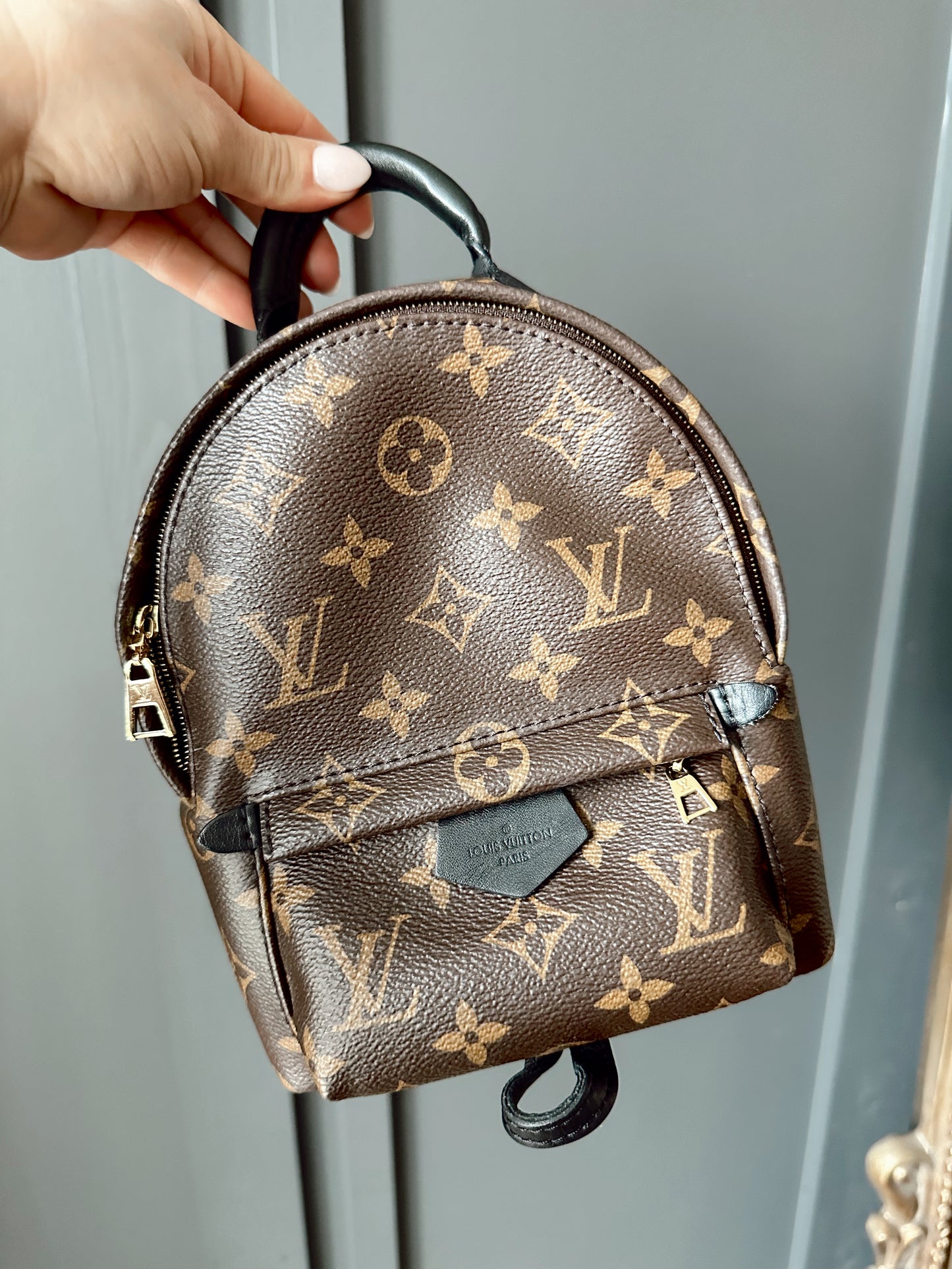 Louis Vuitton Palm Springs Mini Back Pack