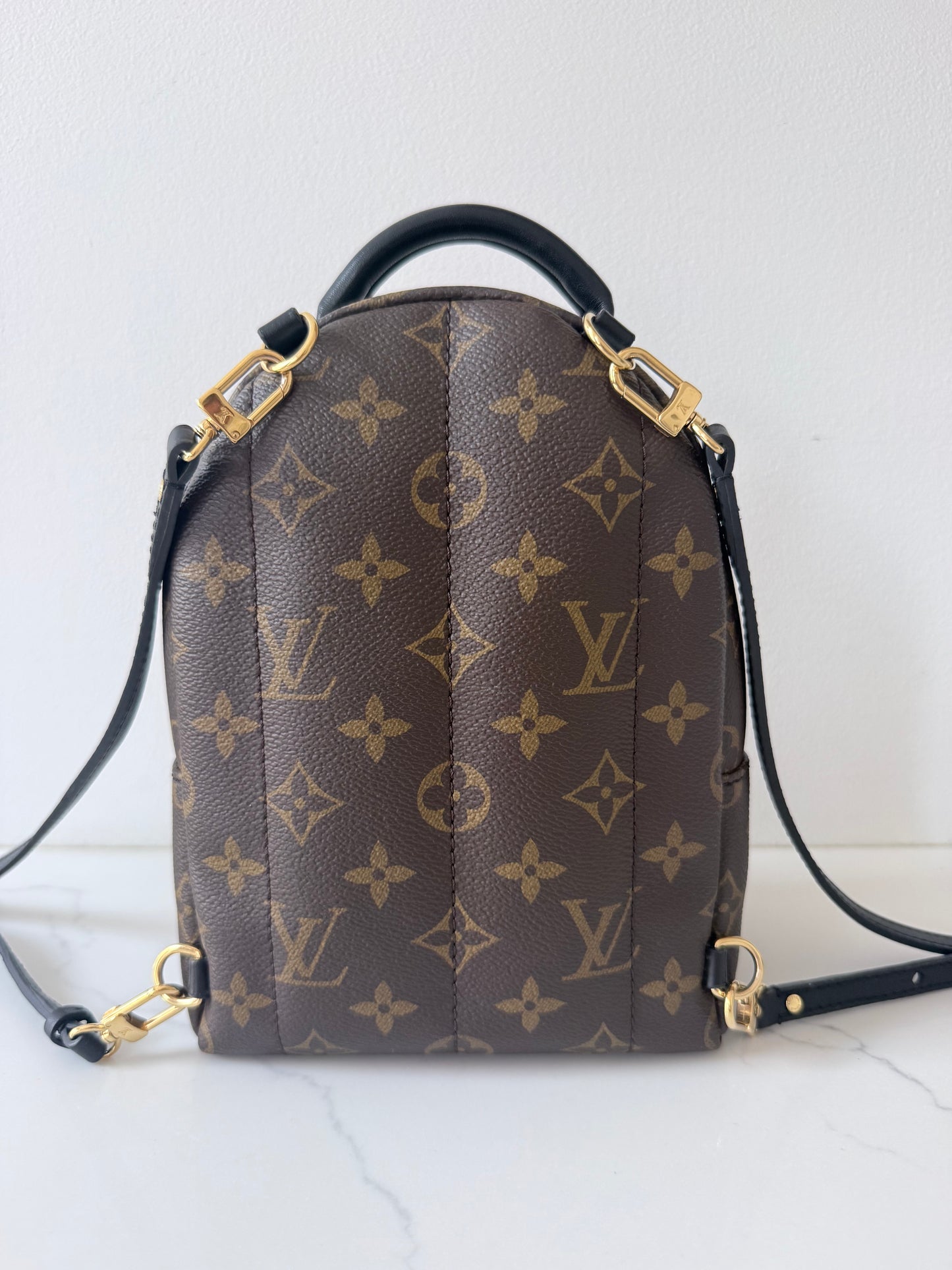 Louis Vuitton Mini Palm Spring Monogram Backpack