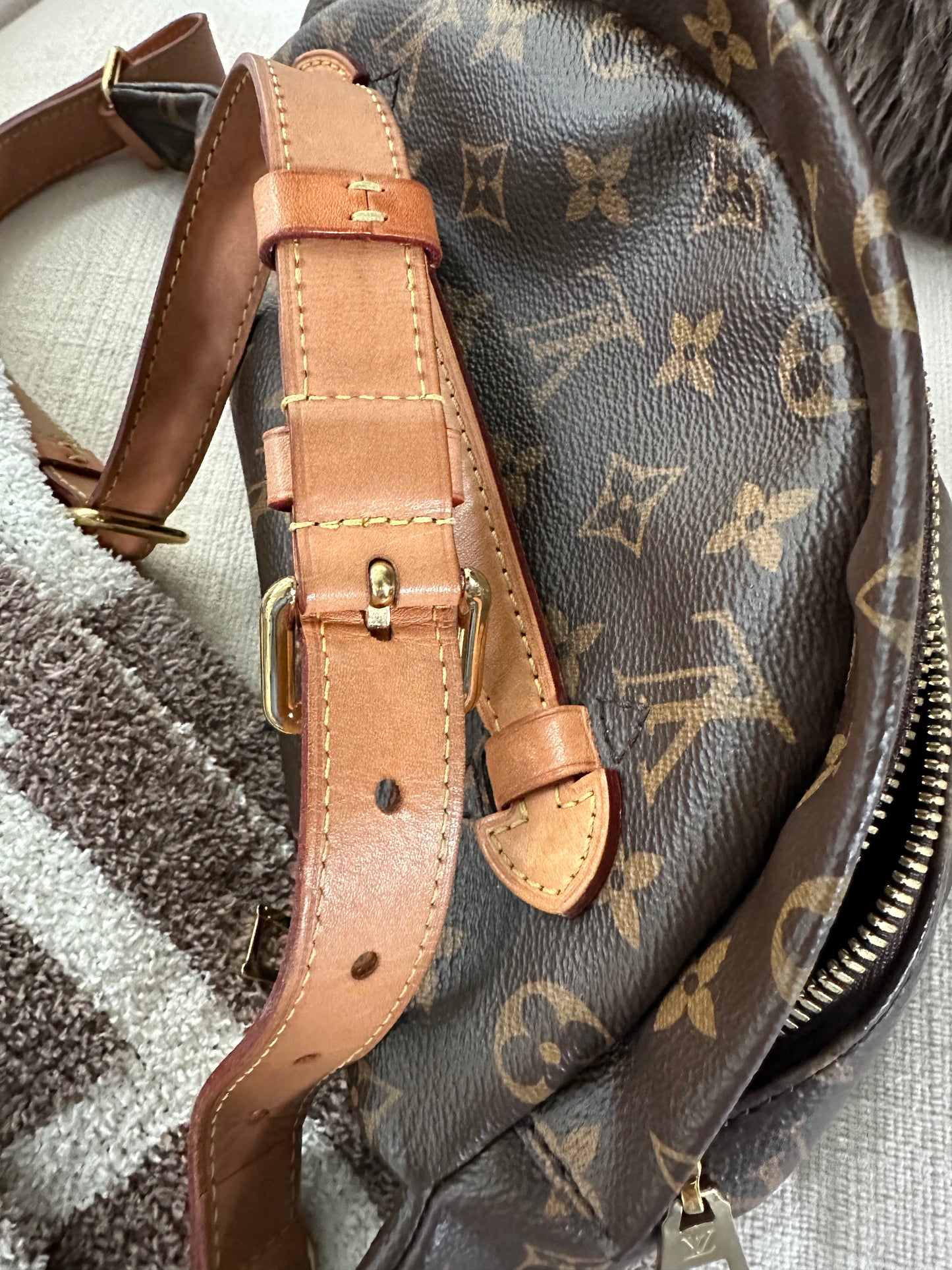 Louis Vuitton Monogram Bumbag