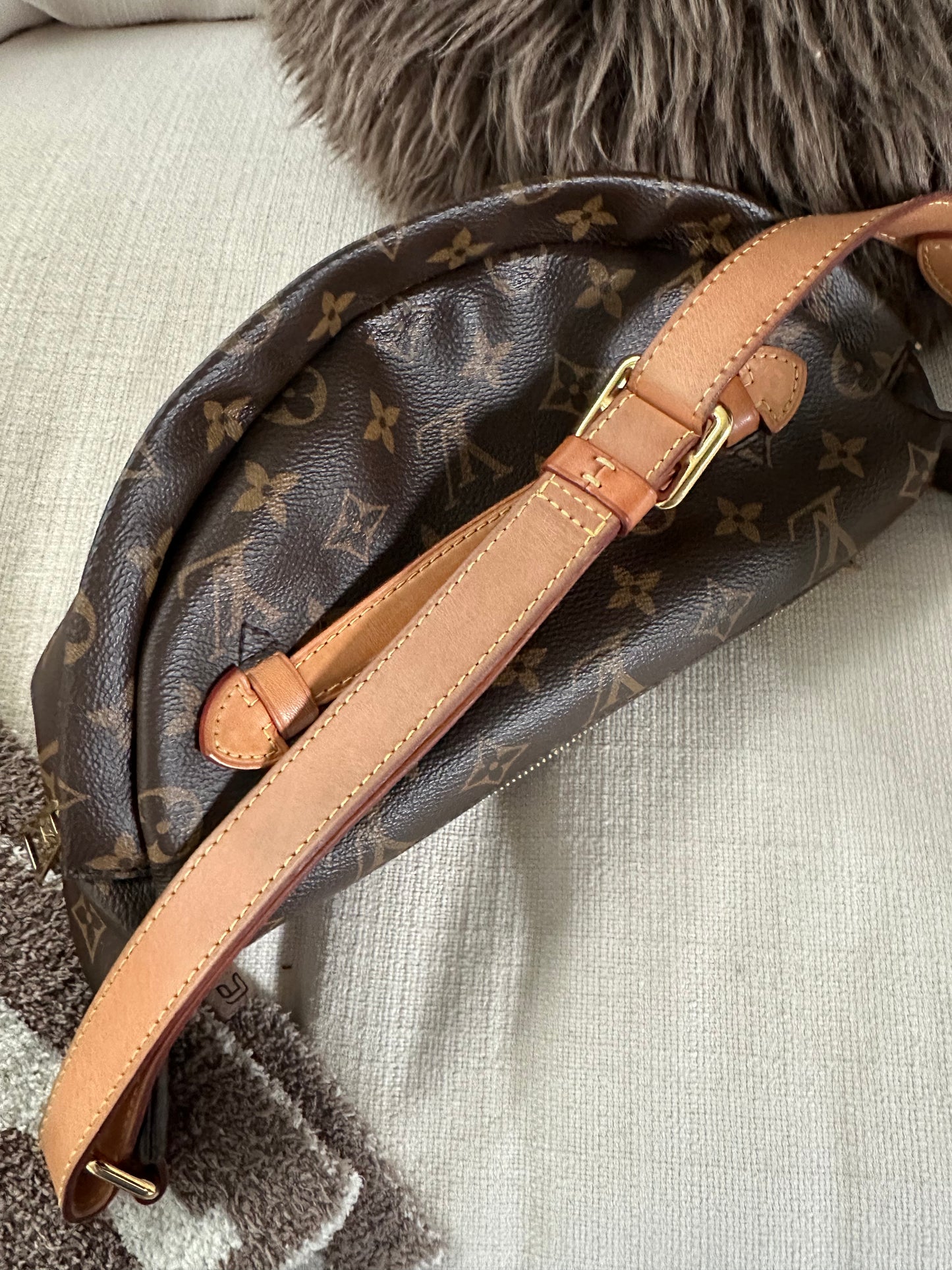 Louis Vuitton Monogram Bumbag