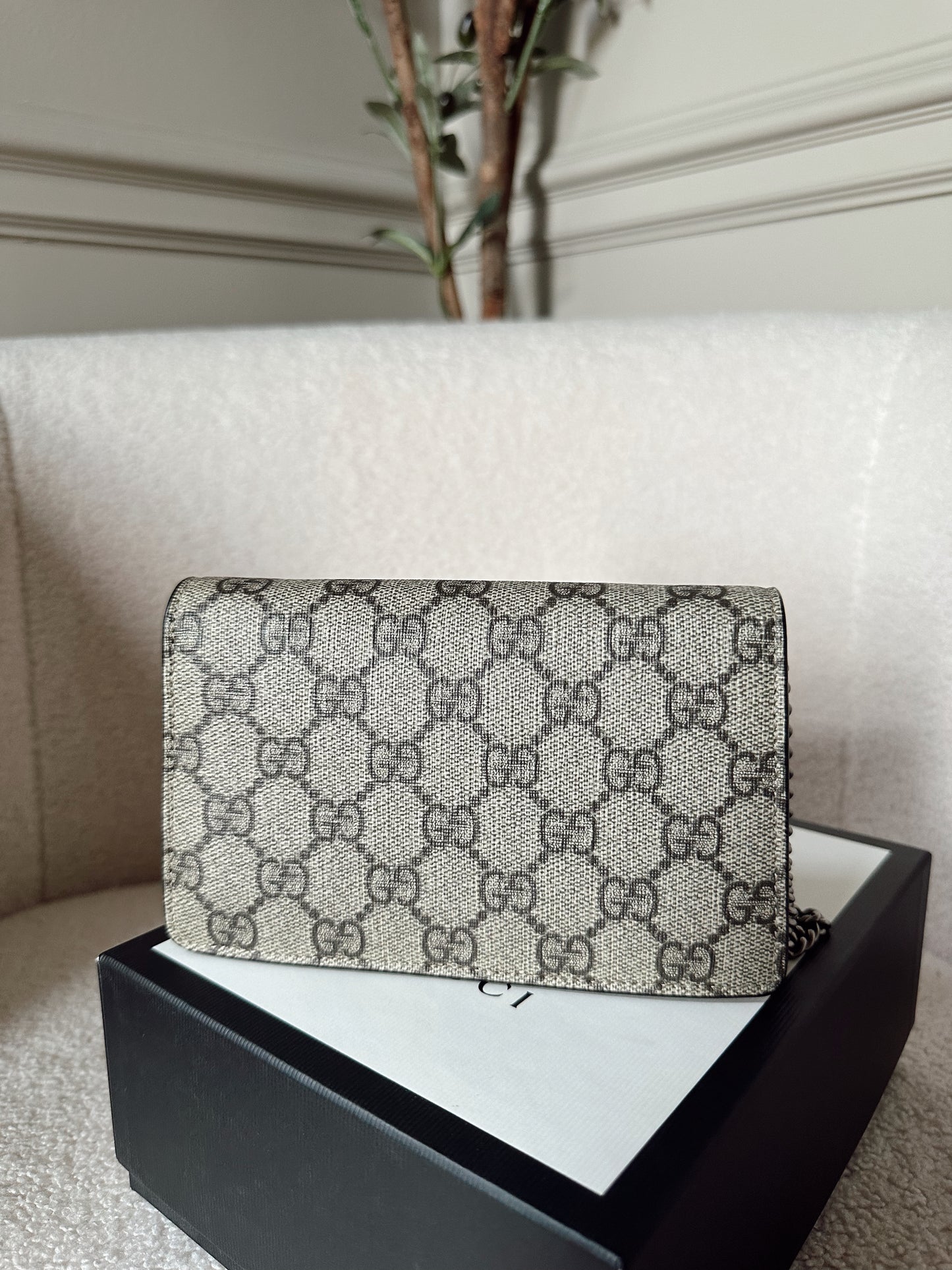 Gucci Dionysus Supreme Super Mini