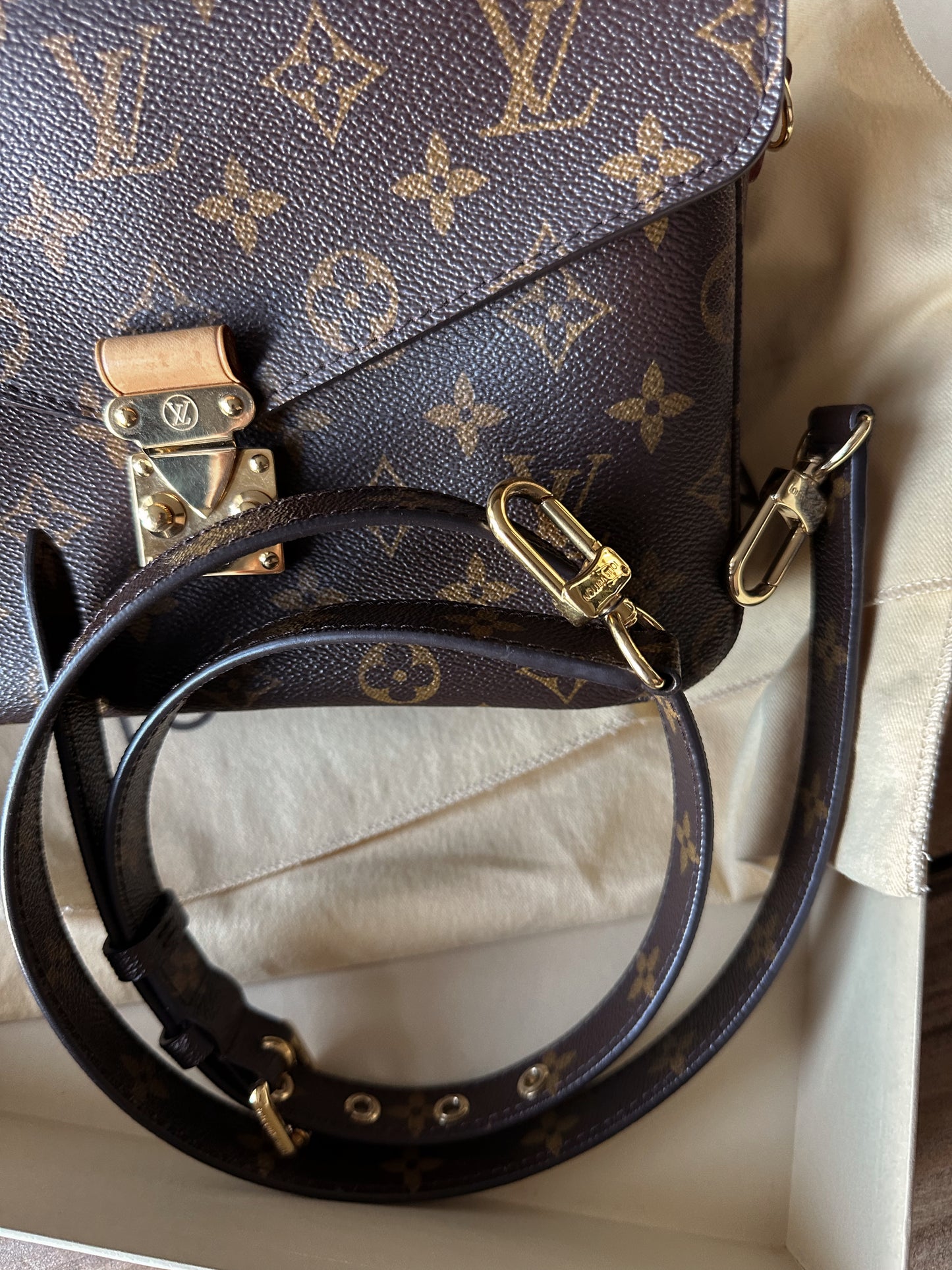 Louis Vuitton Pochette Métis Monogram