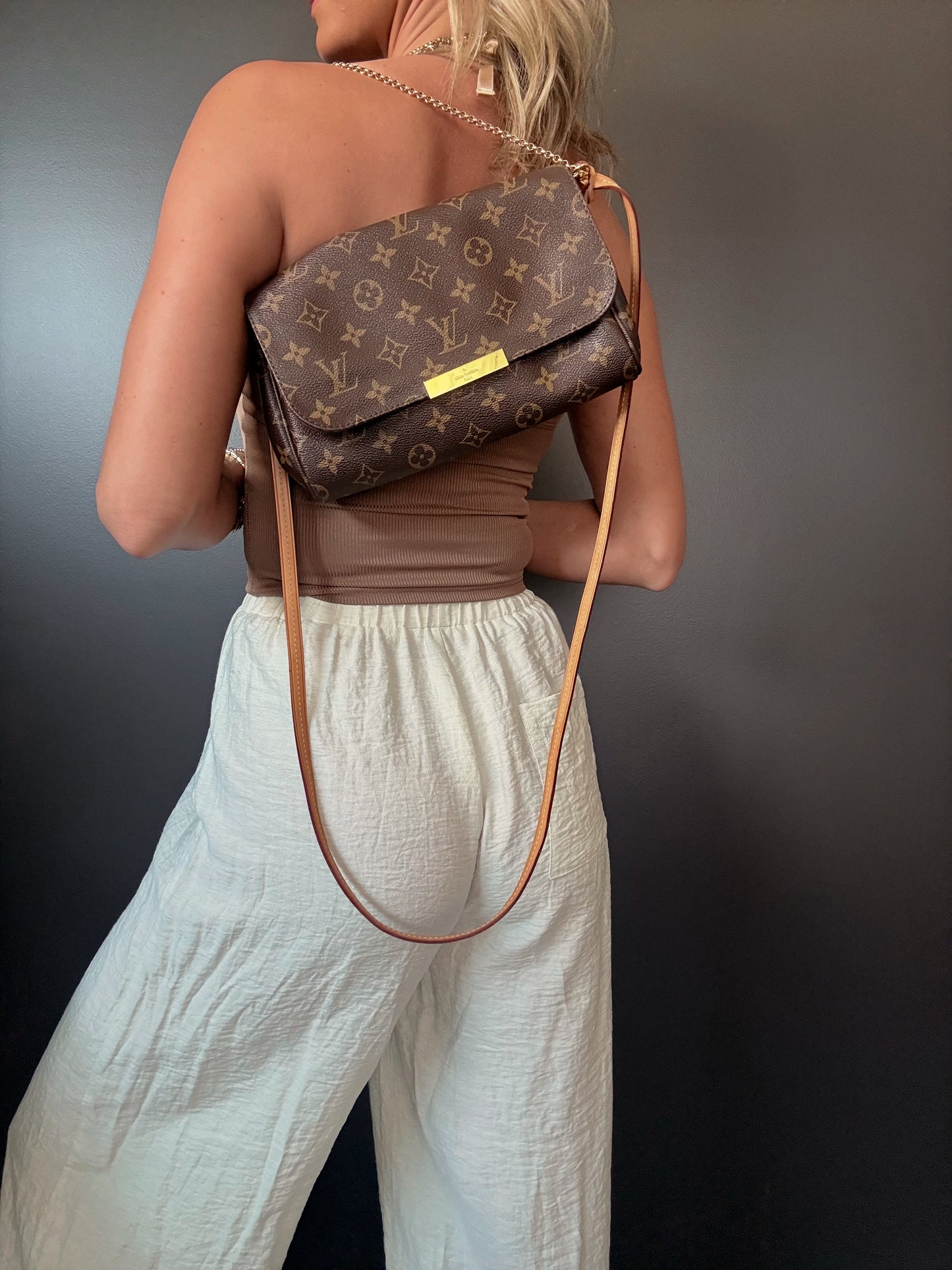 Louis Vuitton Favorite MM Monogram