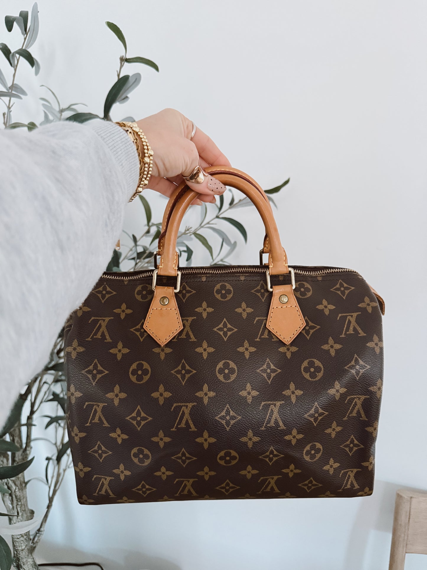 Louis Vuitton Speedy 30 Monogram
