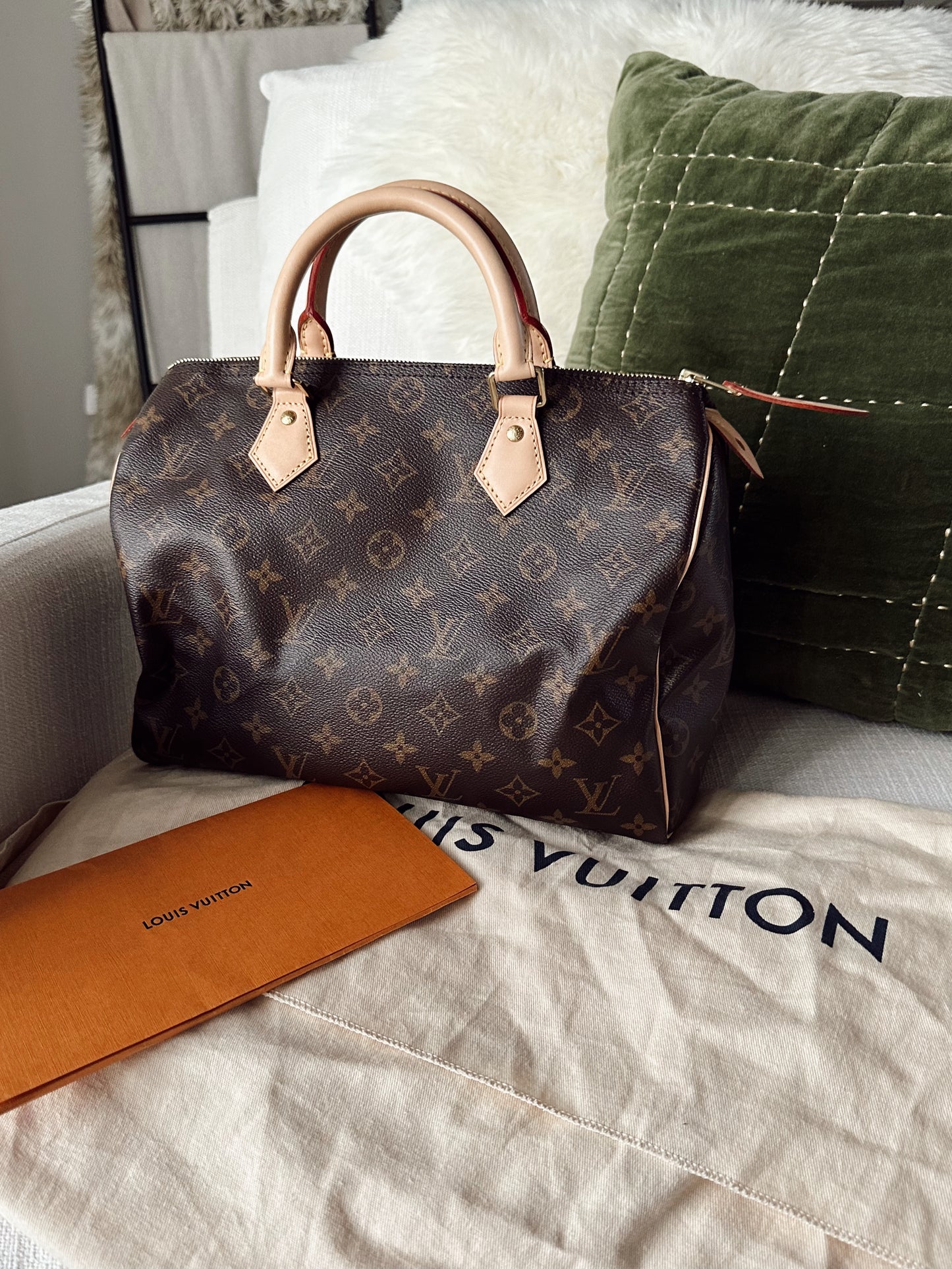 Louis Vuitton Speedy 30 Monogram