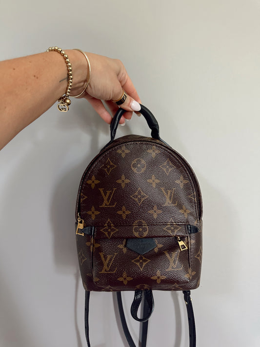 Louis Vuitton Palm Springs Backpack Mini