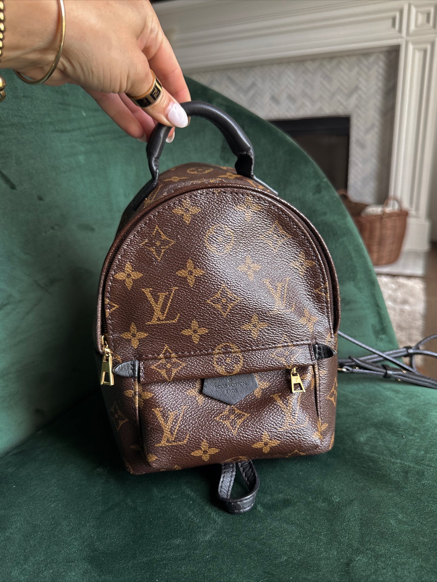 Louis Vuitton Palm Springs Backpack Mini