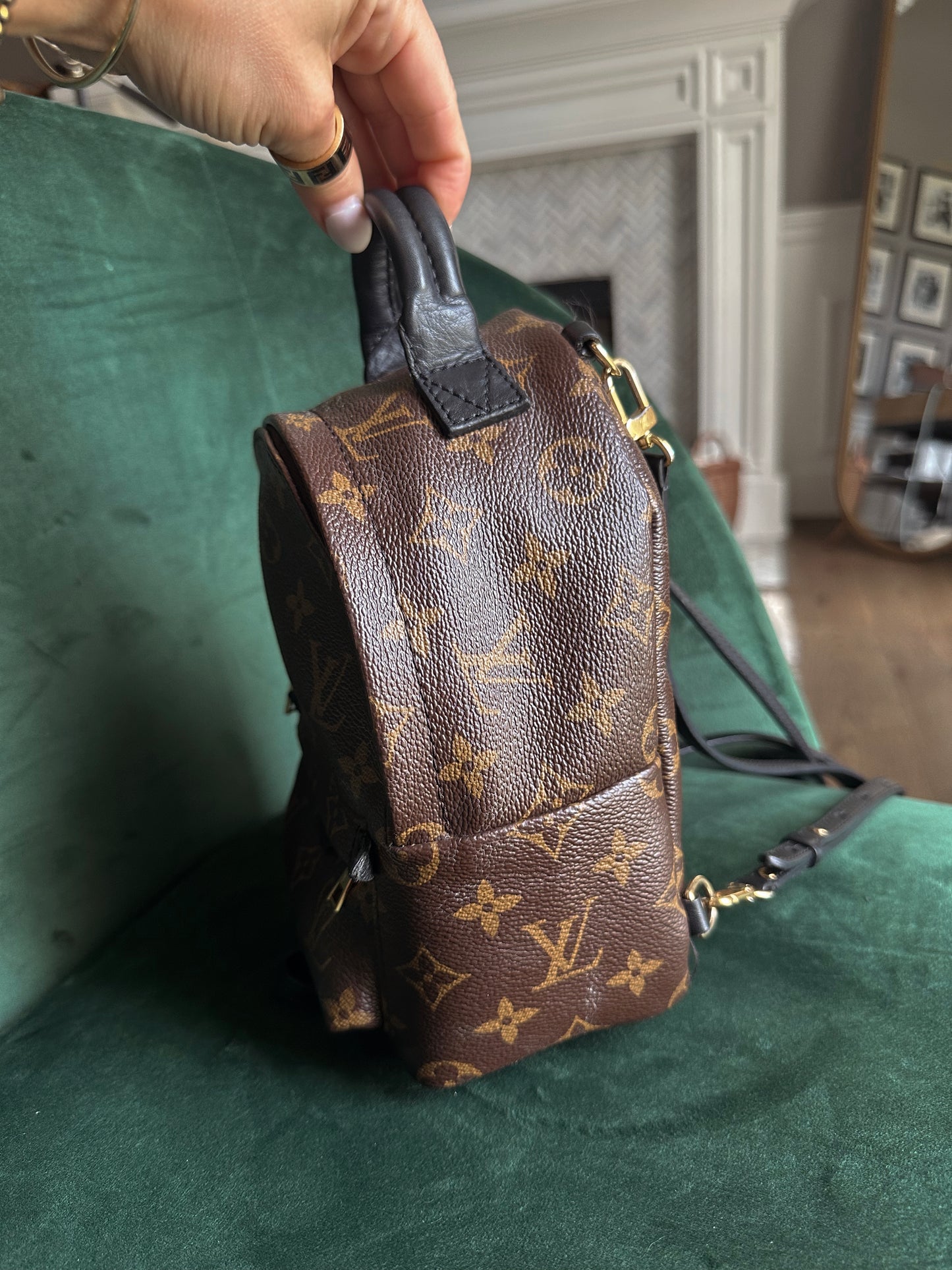 Louis Vuitton Palm Springs Backpack Mini